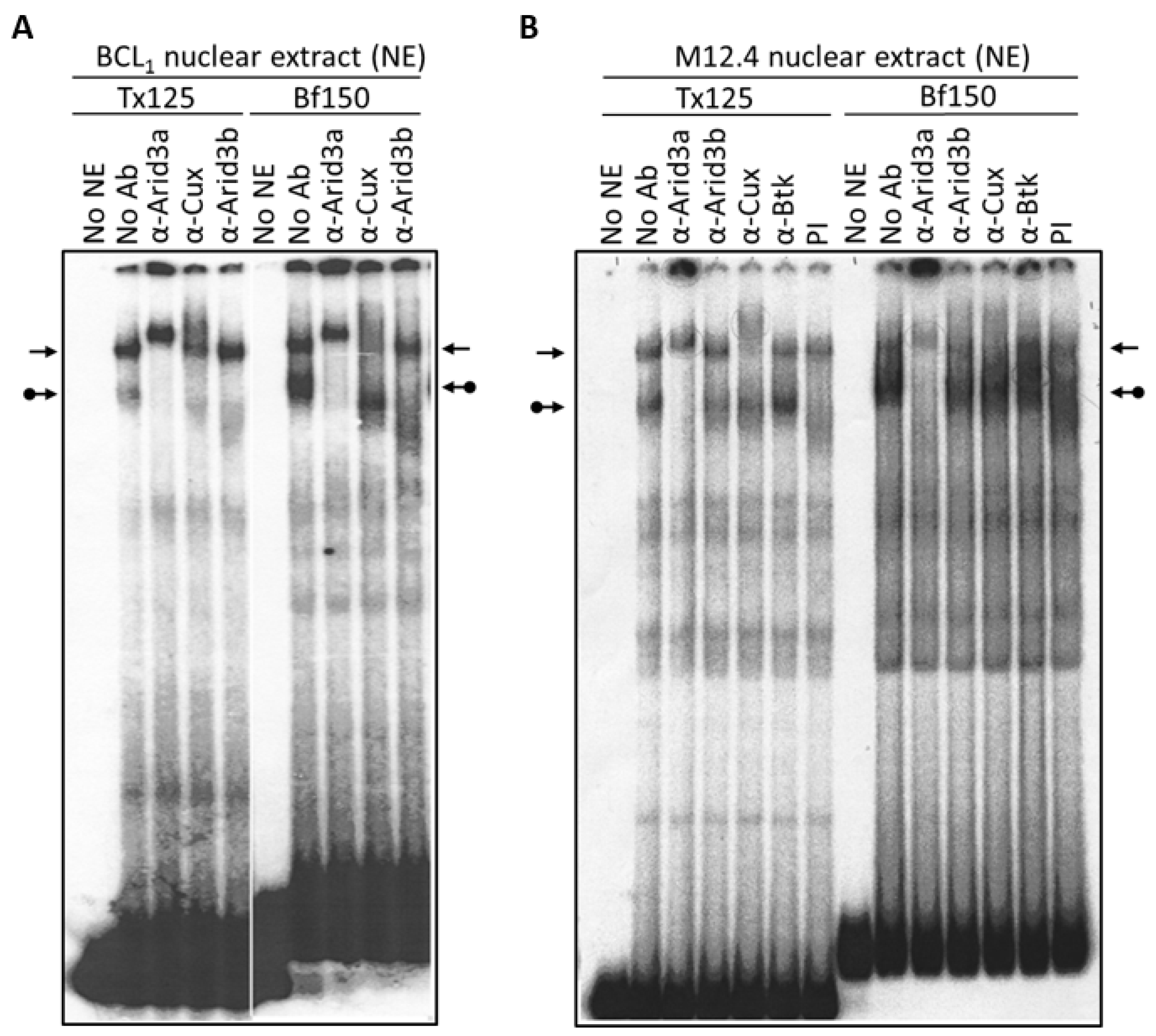 Diseases 05 00034 g002