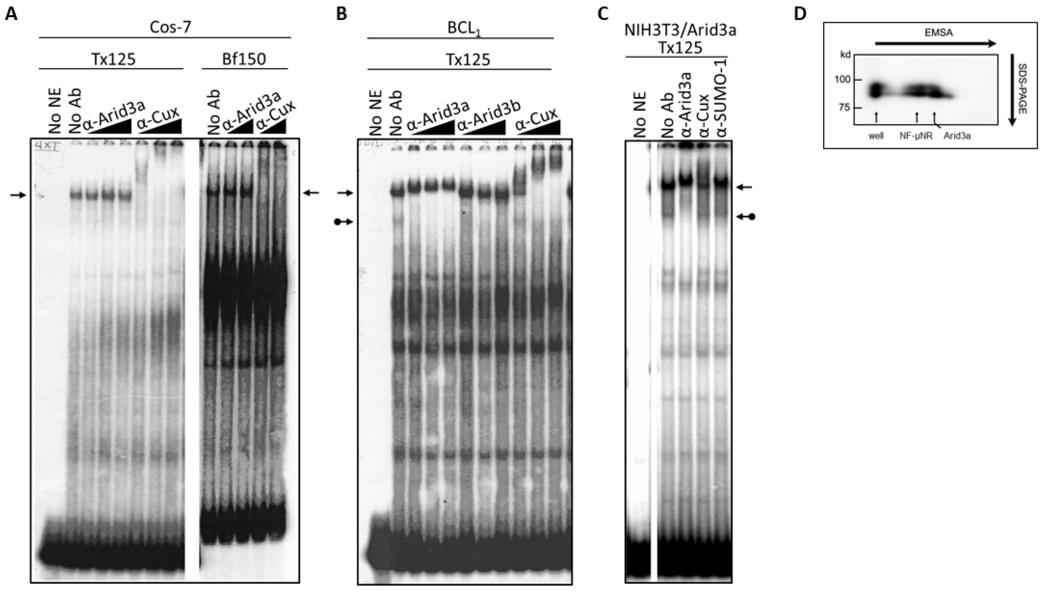 Diseases 05 00034 g004
