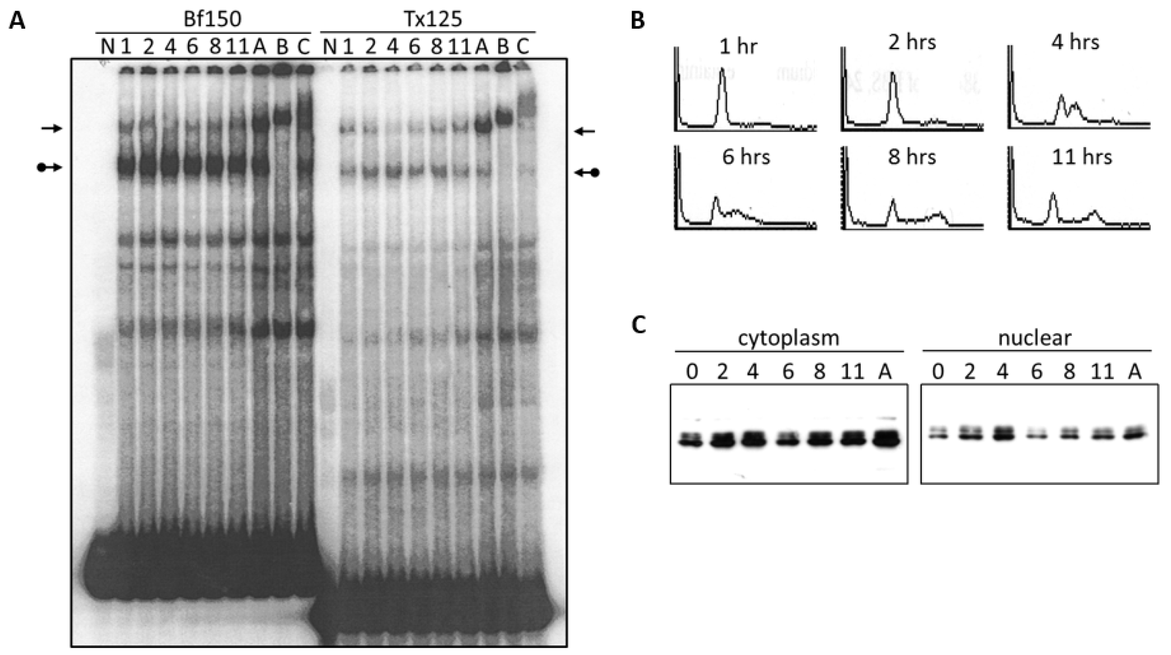 Diseases 05 00034 g005
