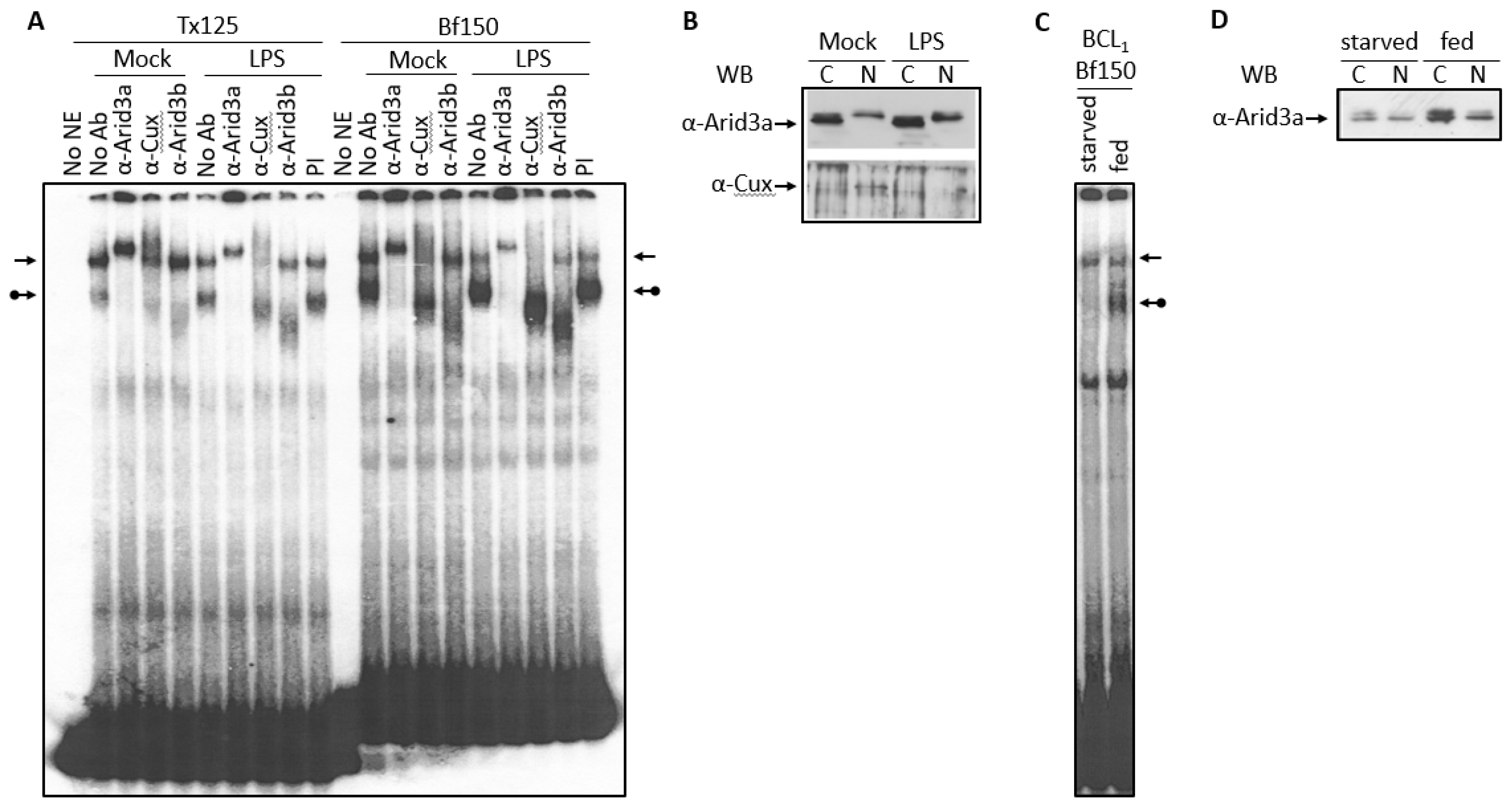 Diseases 05 00034 g006
