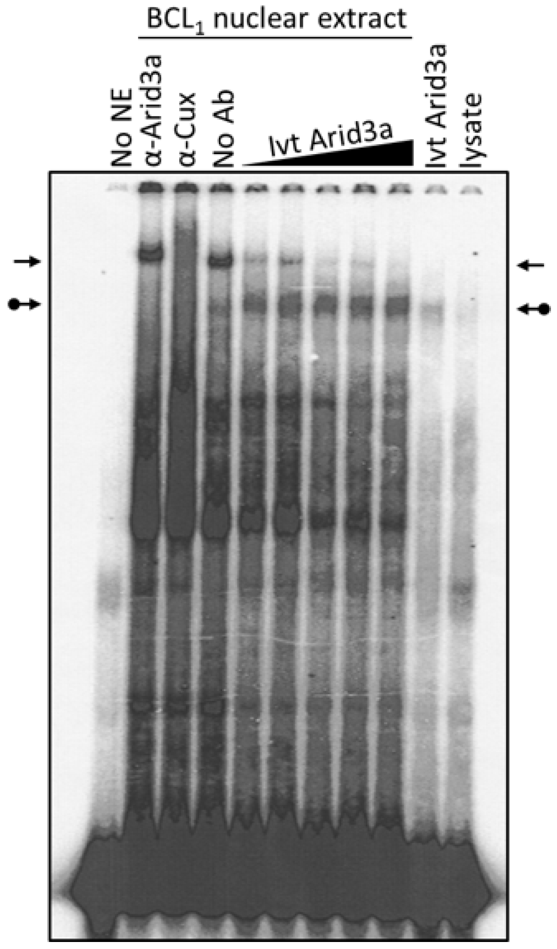 Diseases 05 00034 g007