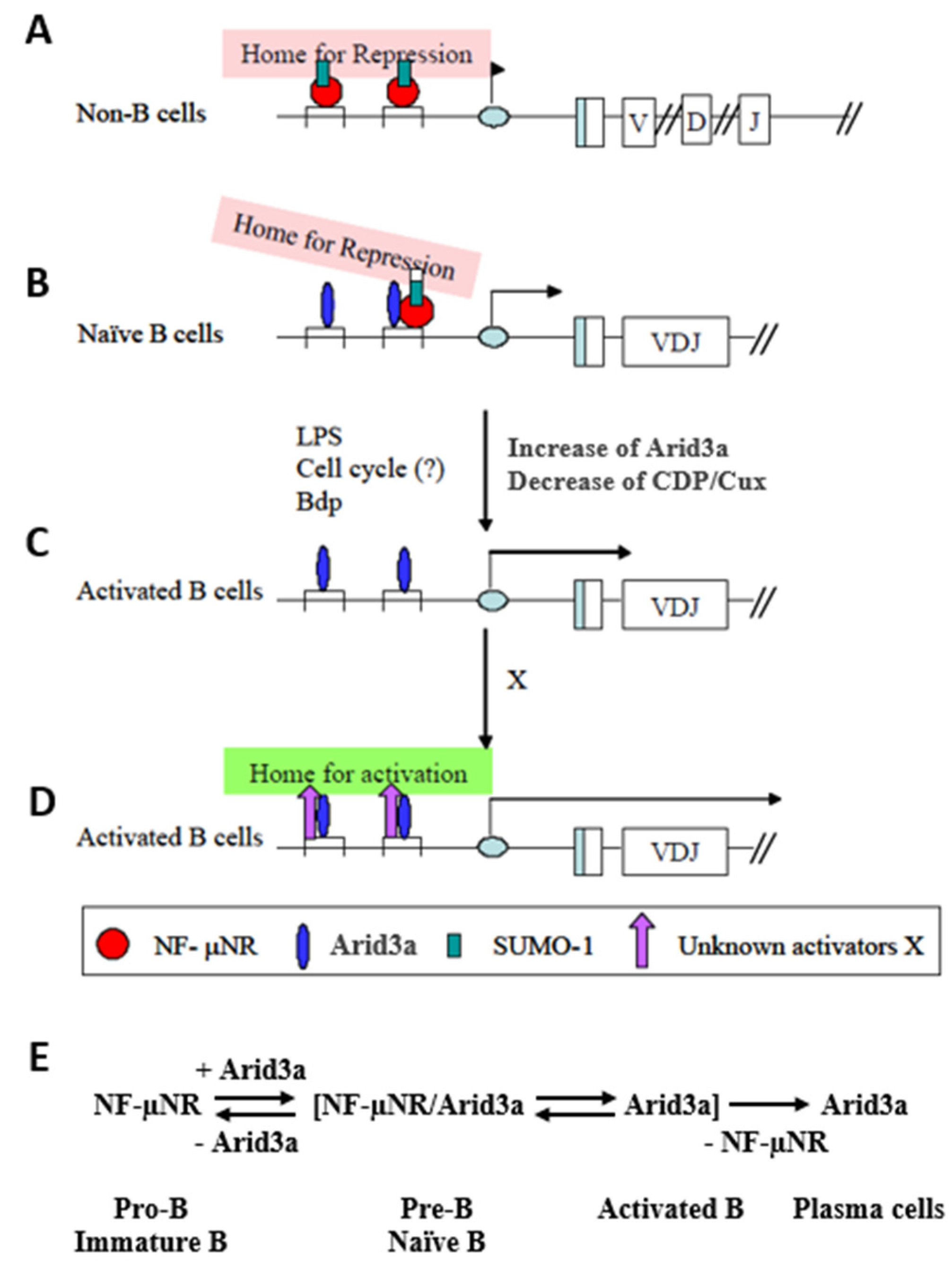 Diseases 05 00034 g009