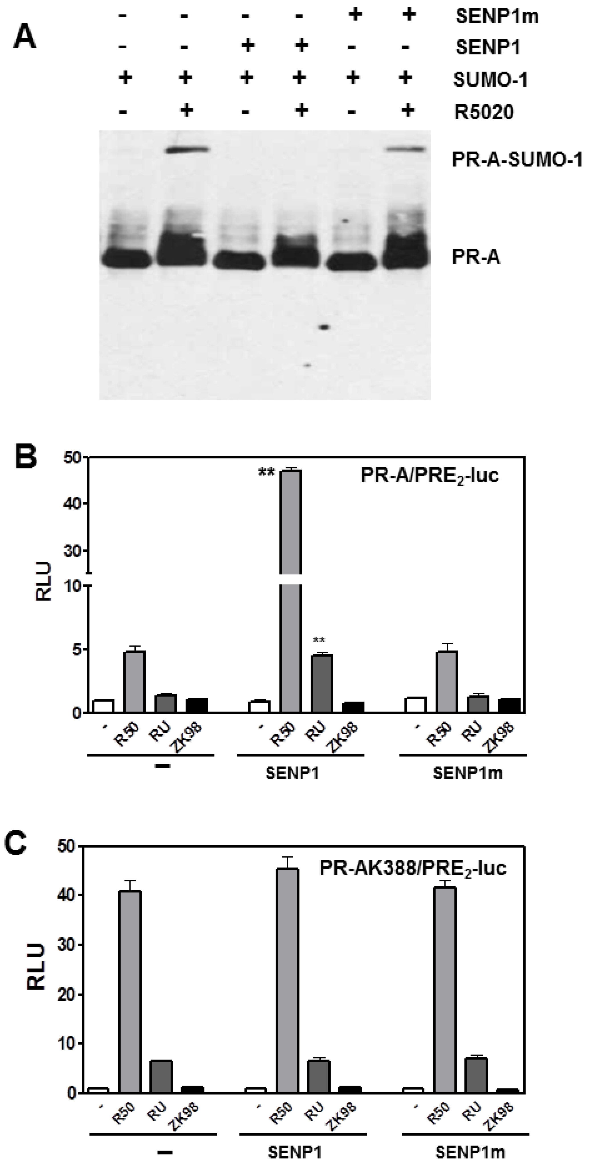 Diseases 06 00005 g002