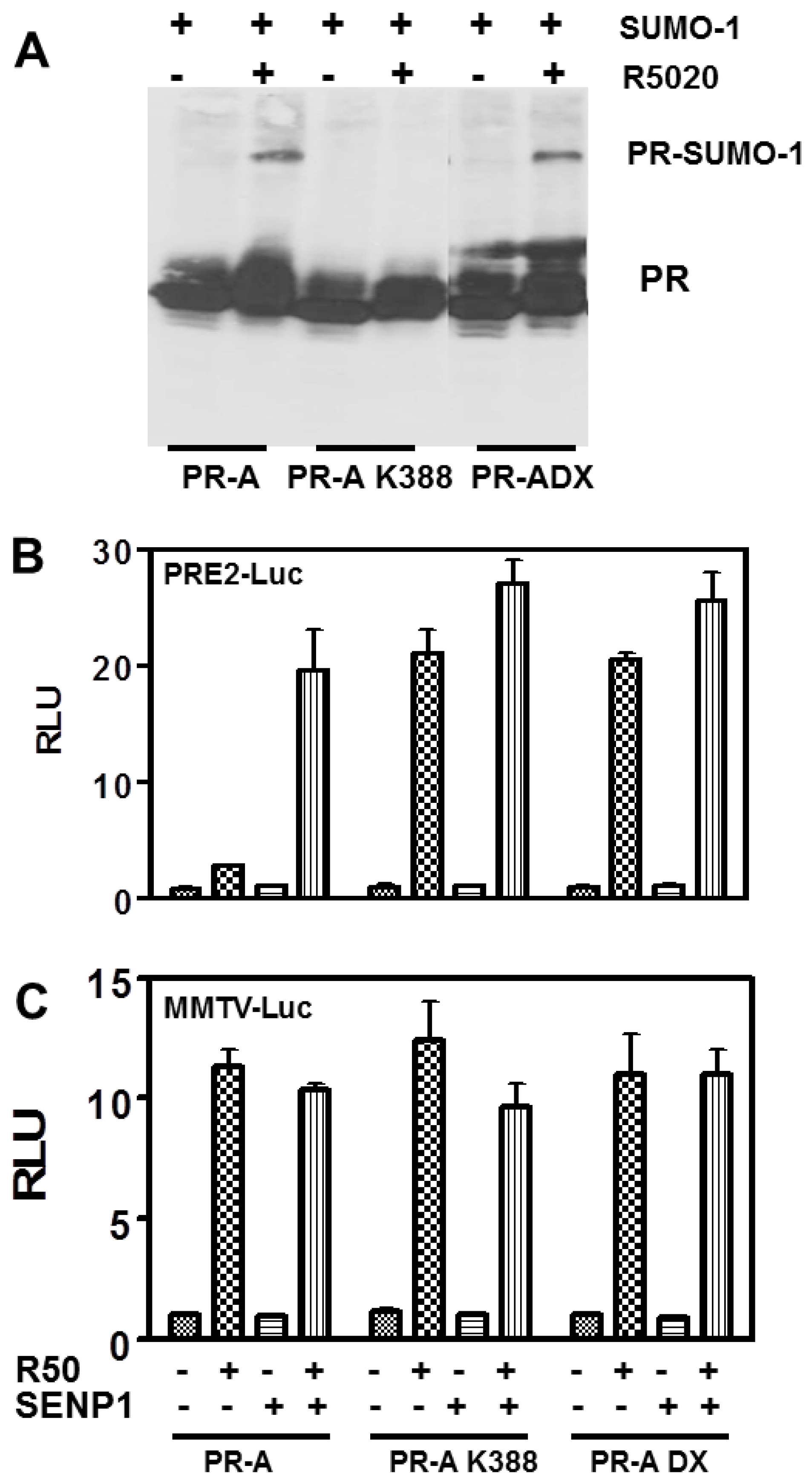 Diseases 06 00005 g003