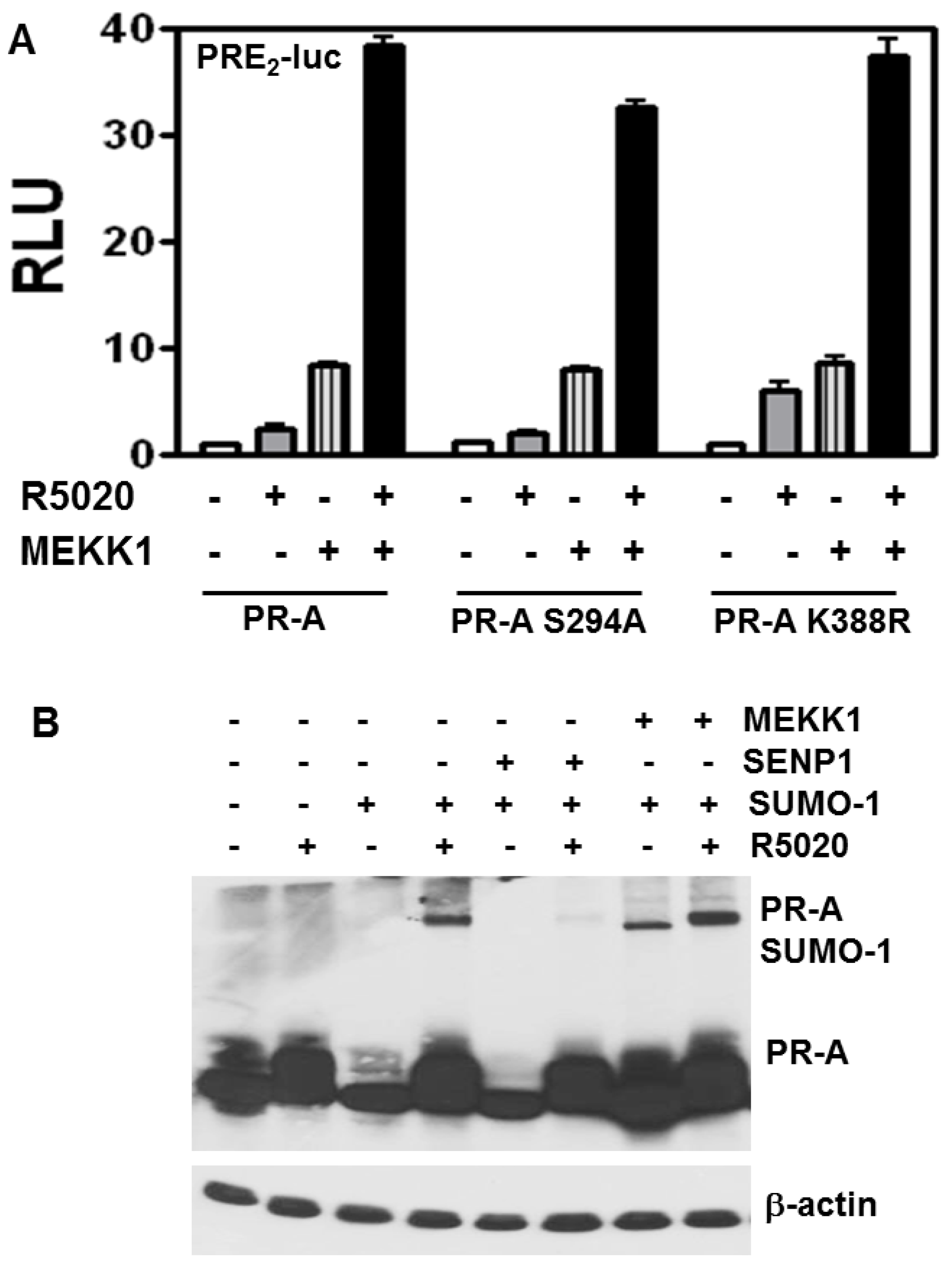 Diseases 06 00005 g004