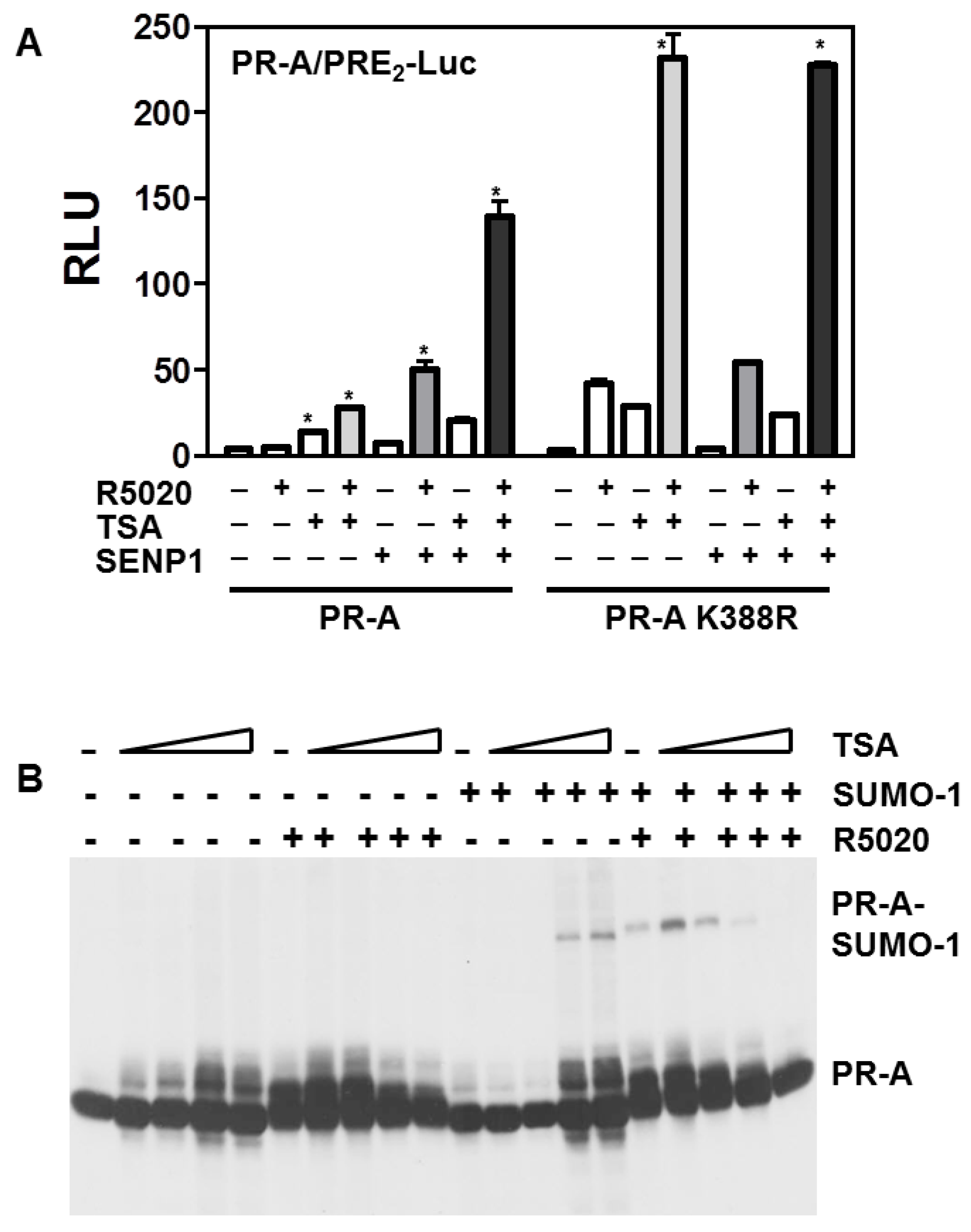 Diseases 06 00005 g005