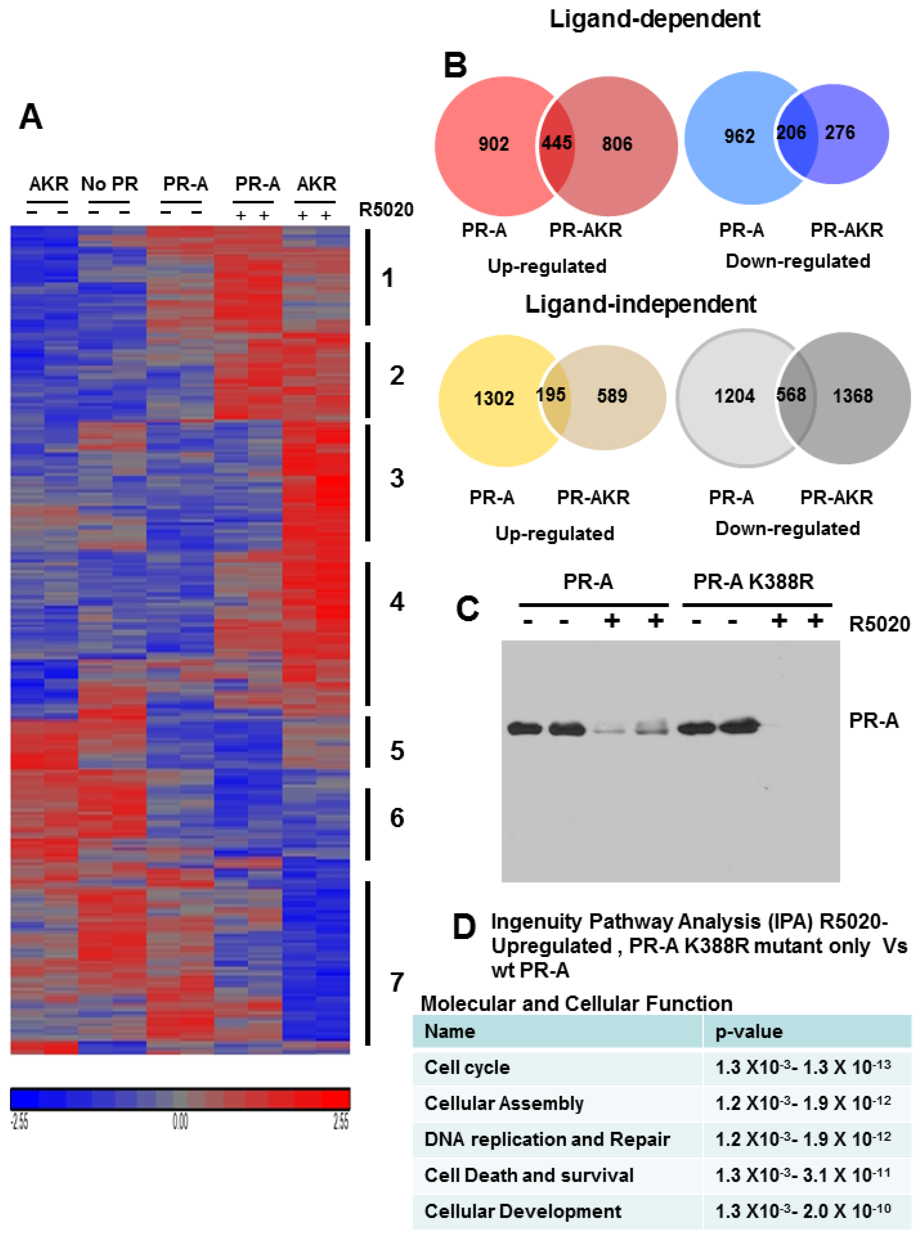 Diseases 06 00005 g006