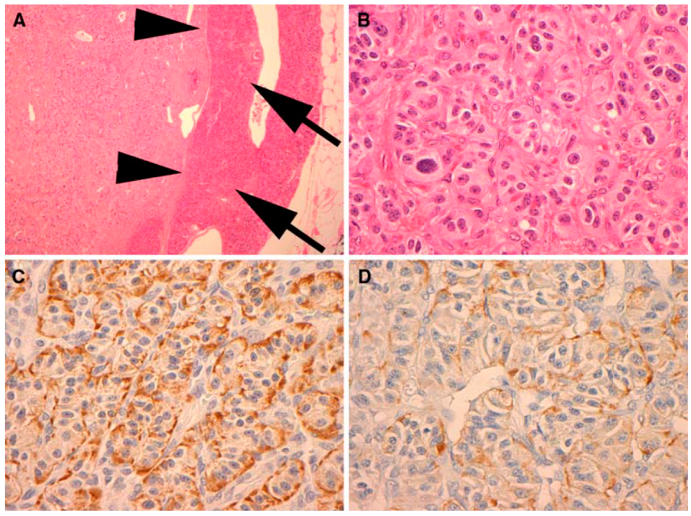 Diseases 06 00008 g003