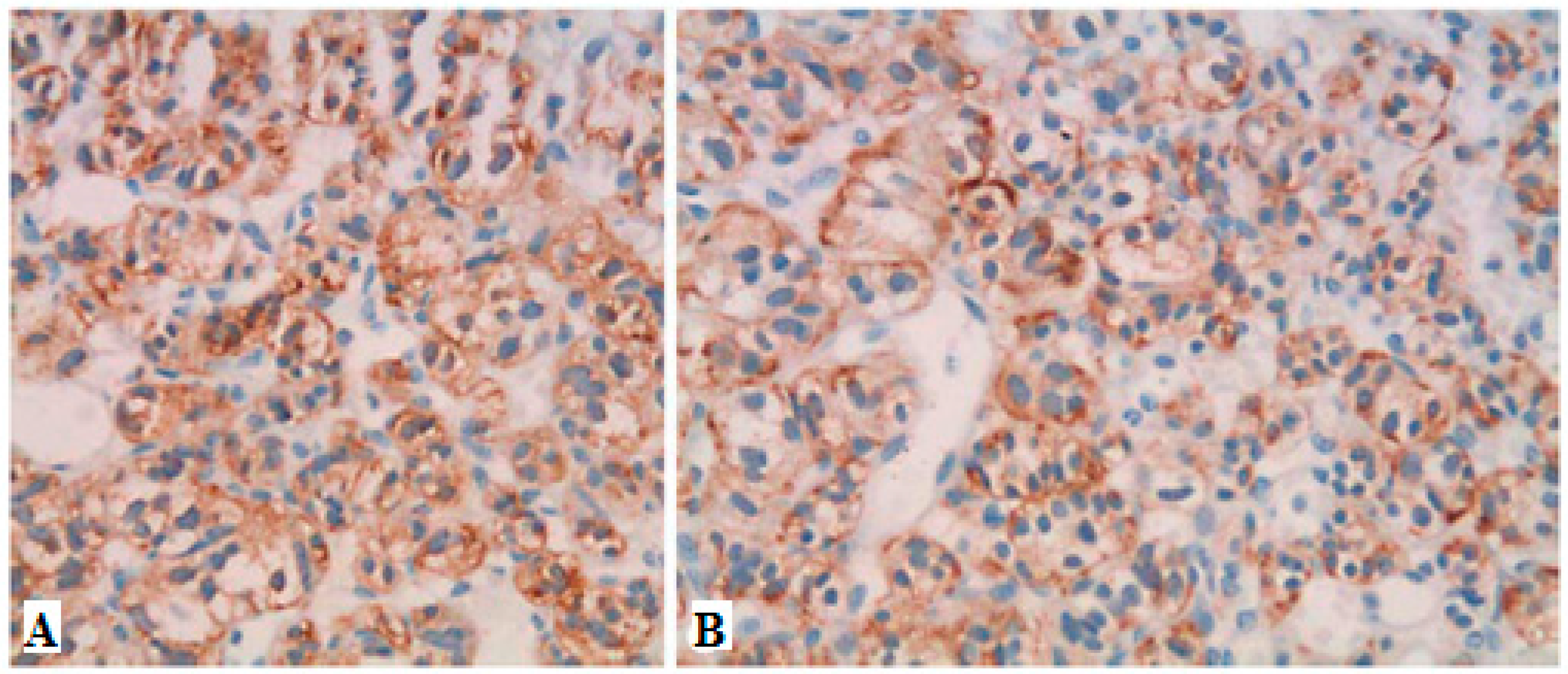 Diseases 06 00008 g004