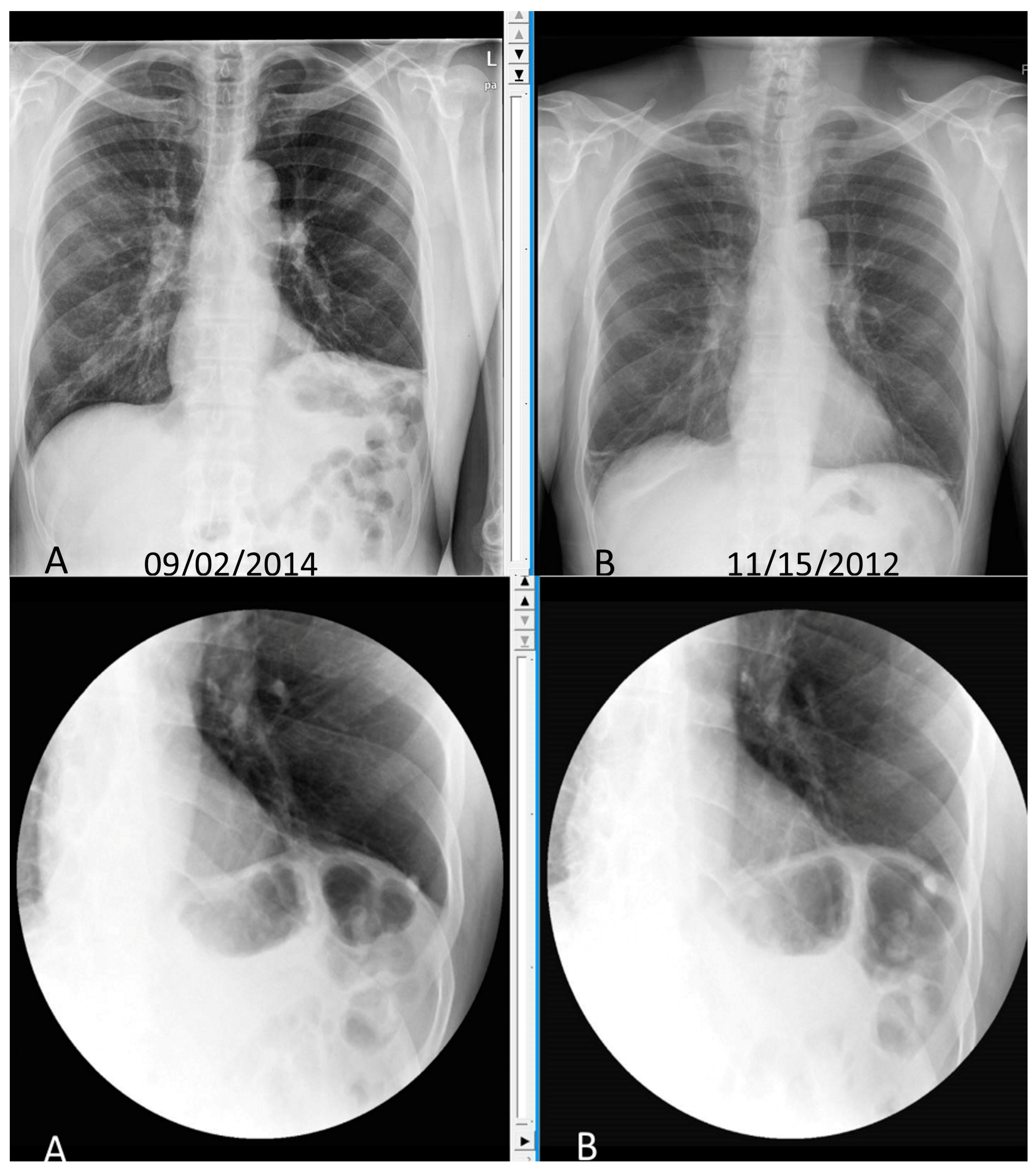 Diseases 06 00016 g002