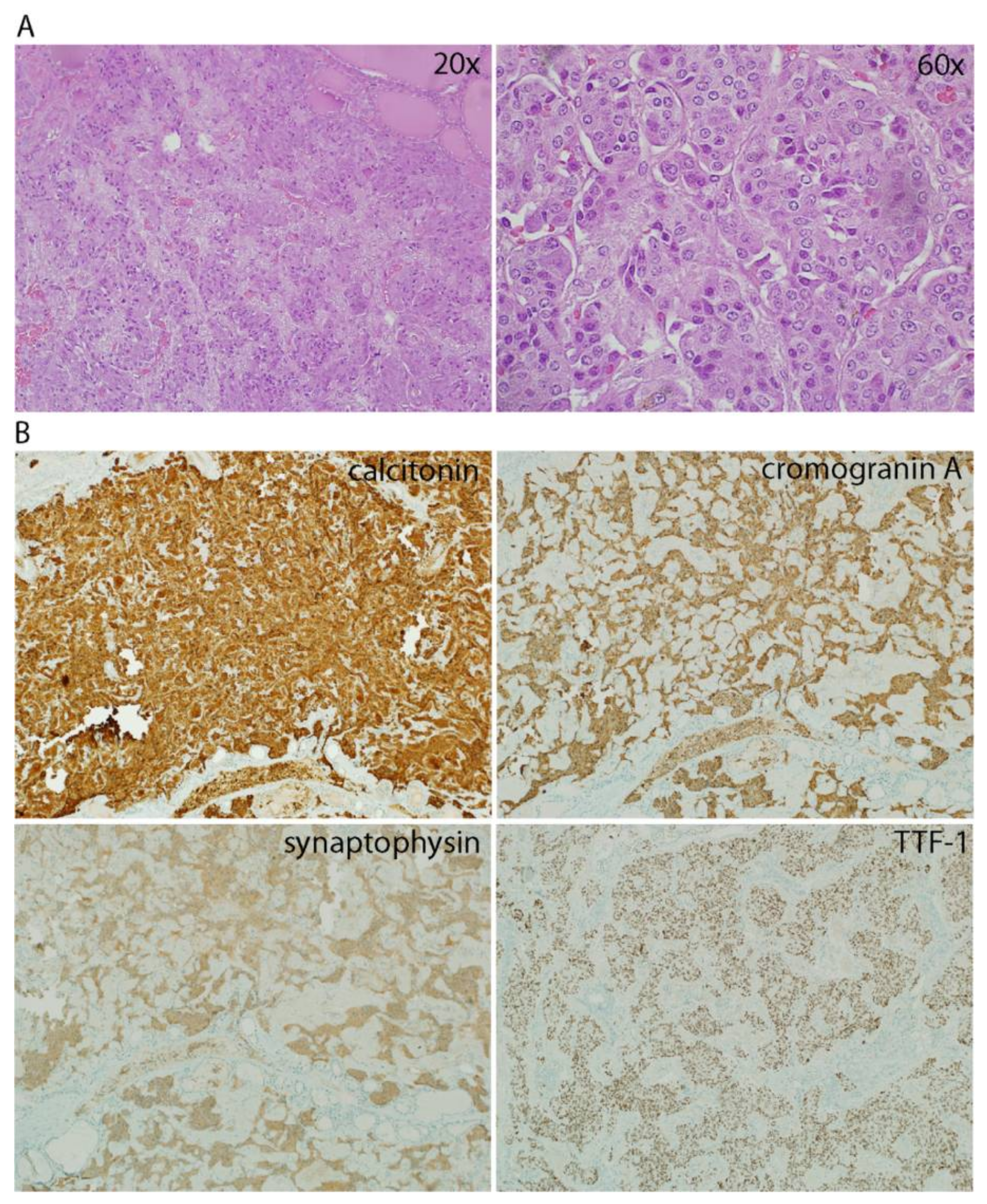 Diseases 06 00025 g001