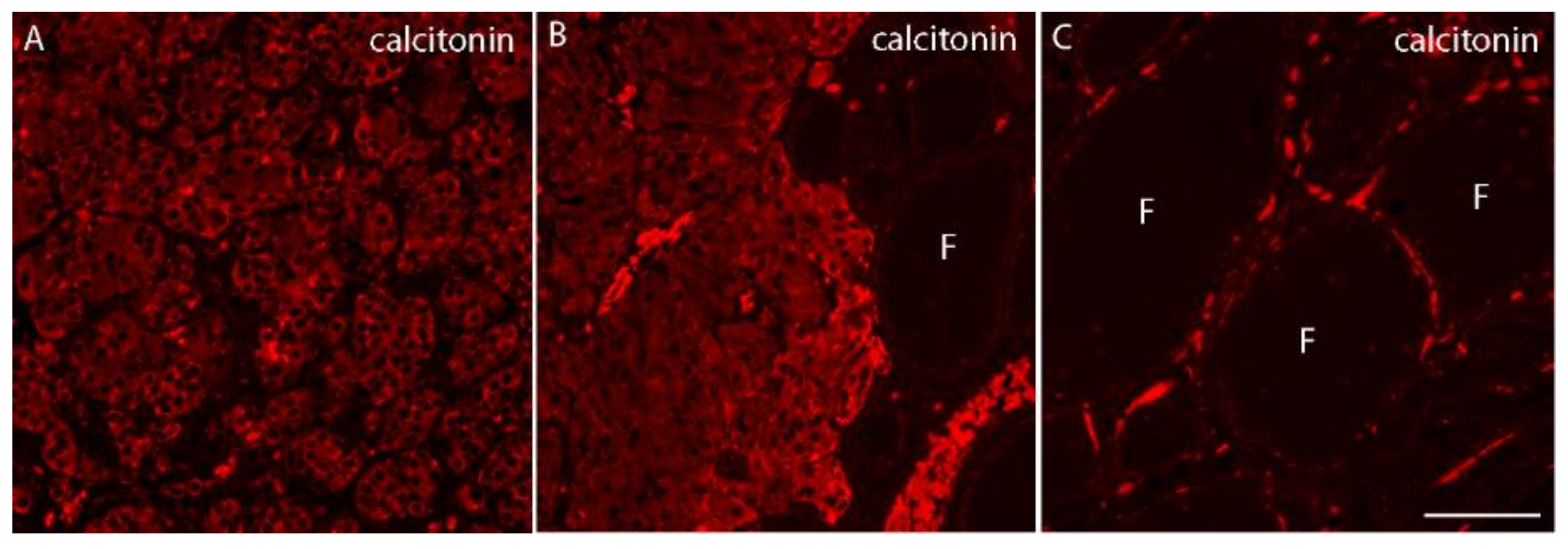 Diseases 06 00025 g002