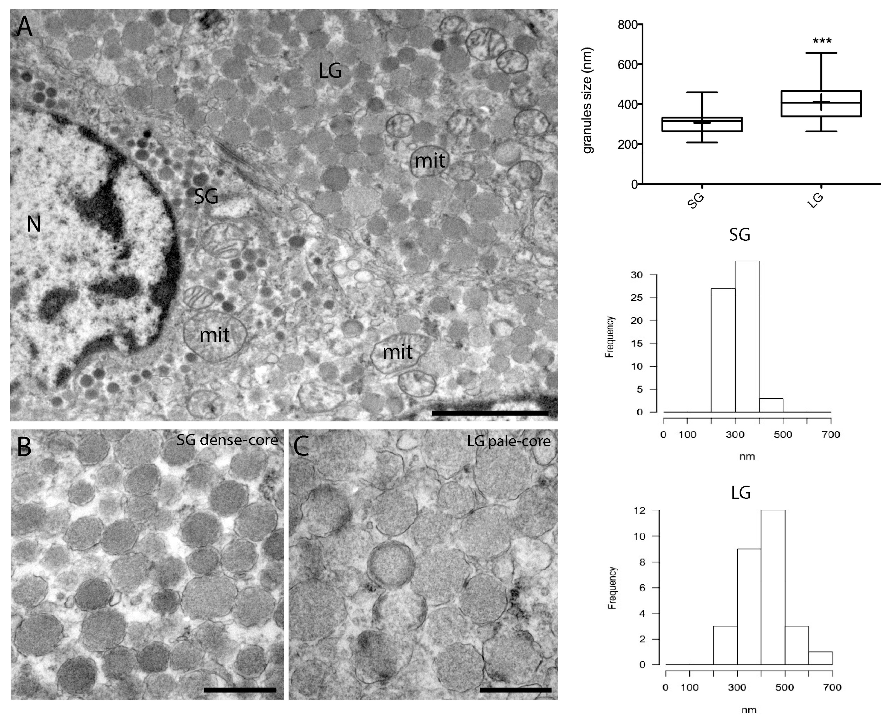 Diseases 06 00025 g004