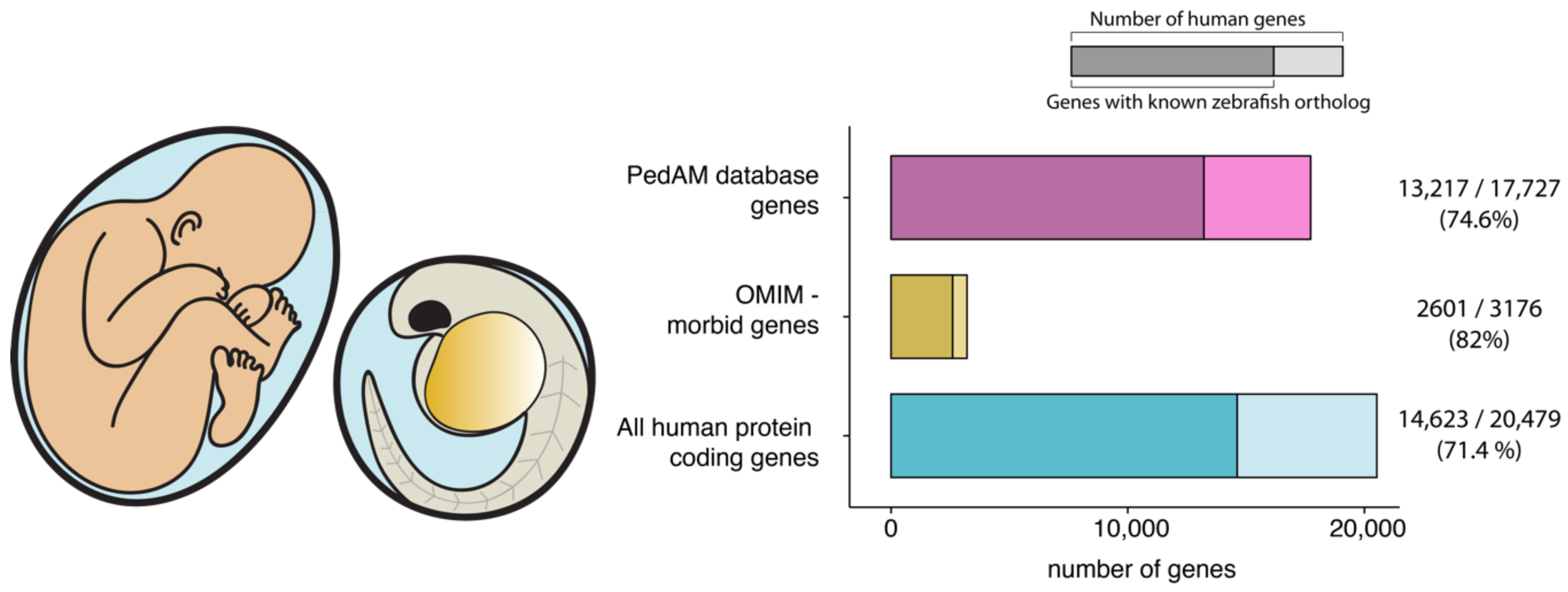Diseases 06 00043 g001