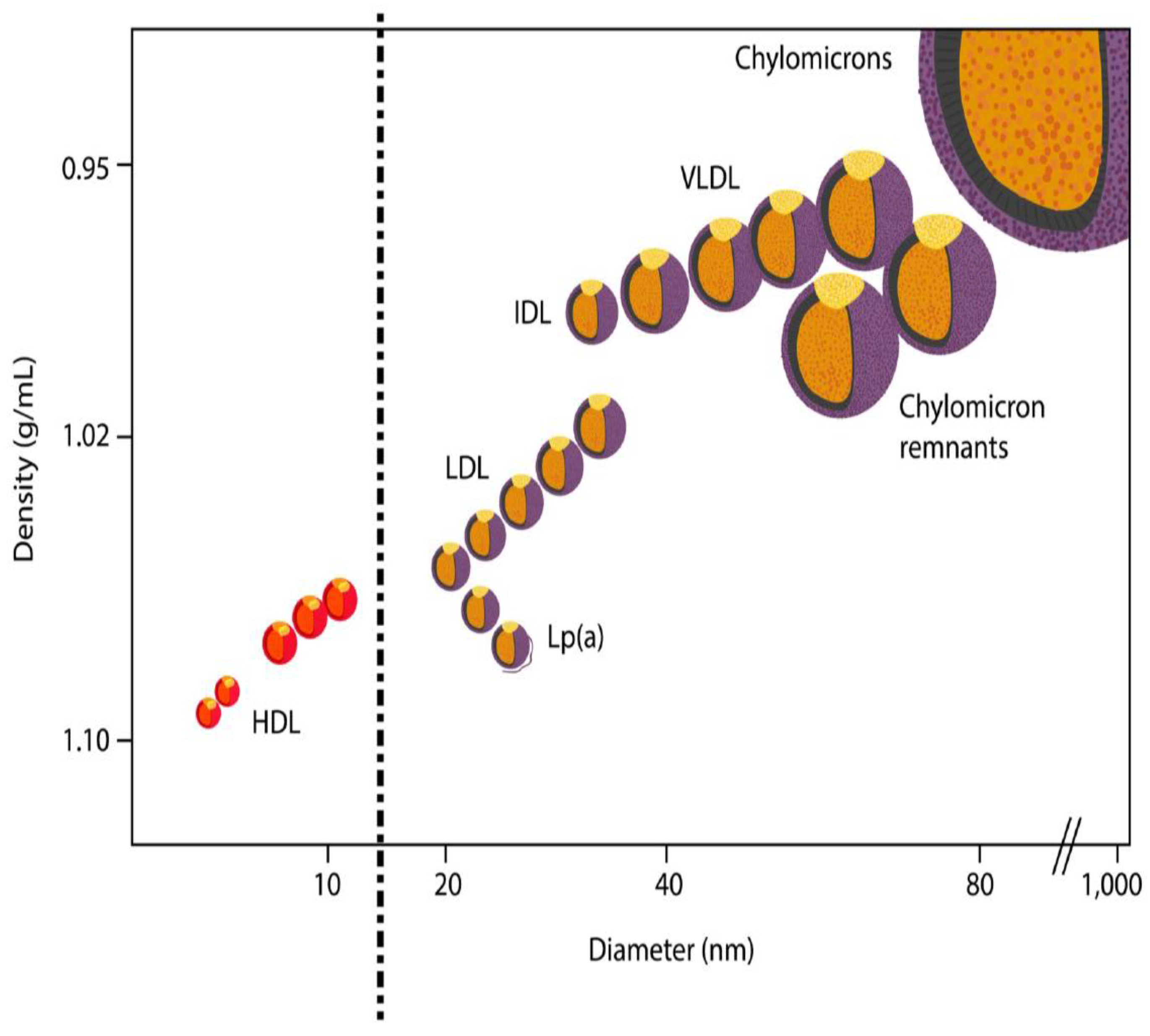 Diseases 06 00045 g001