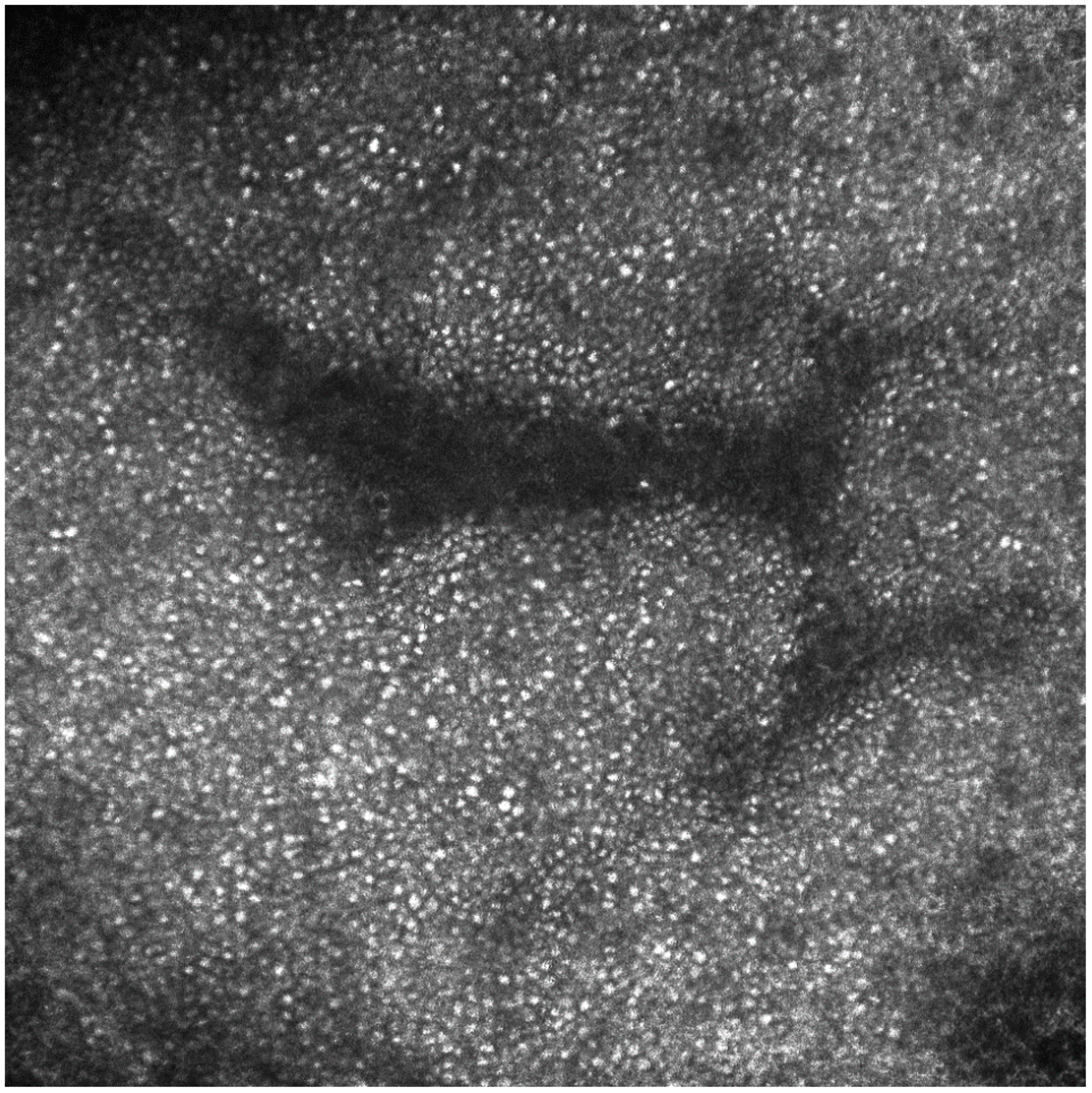 Diseases 06 00055 g003