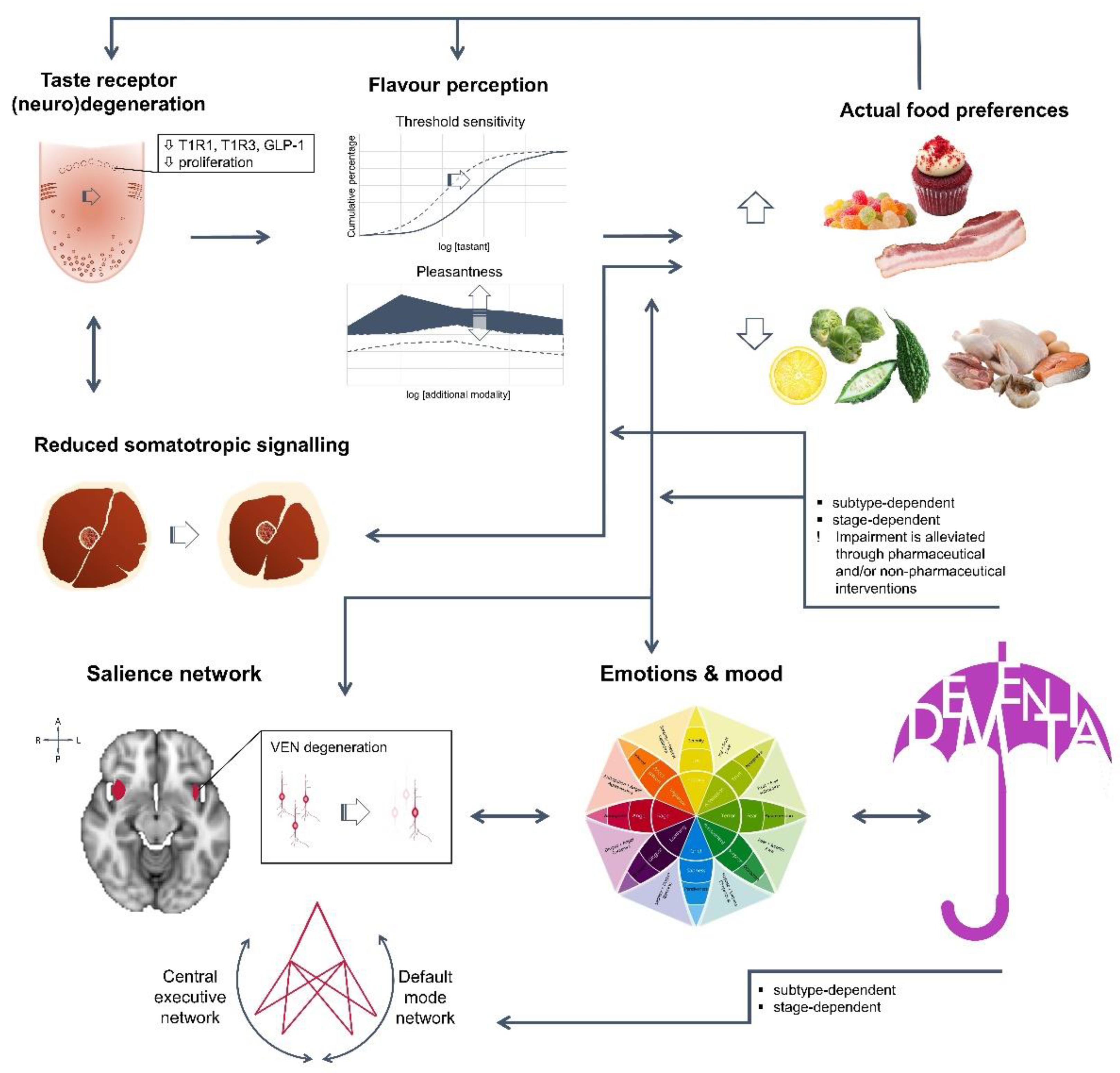 Diseases 06 00066 g001