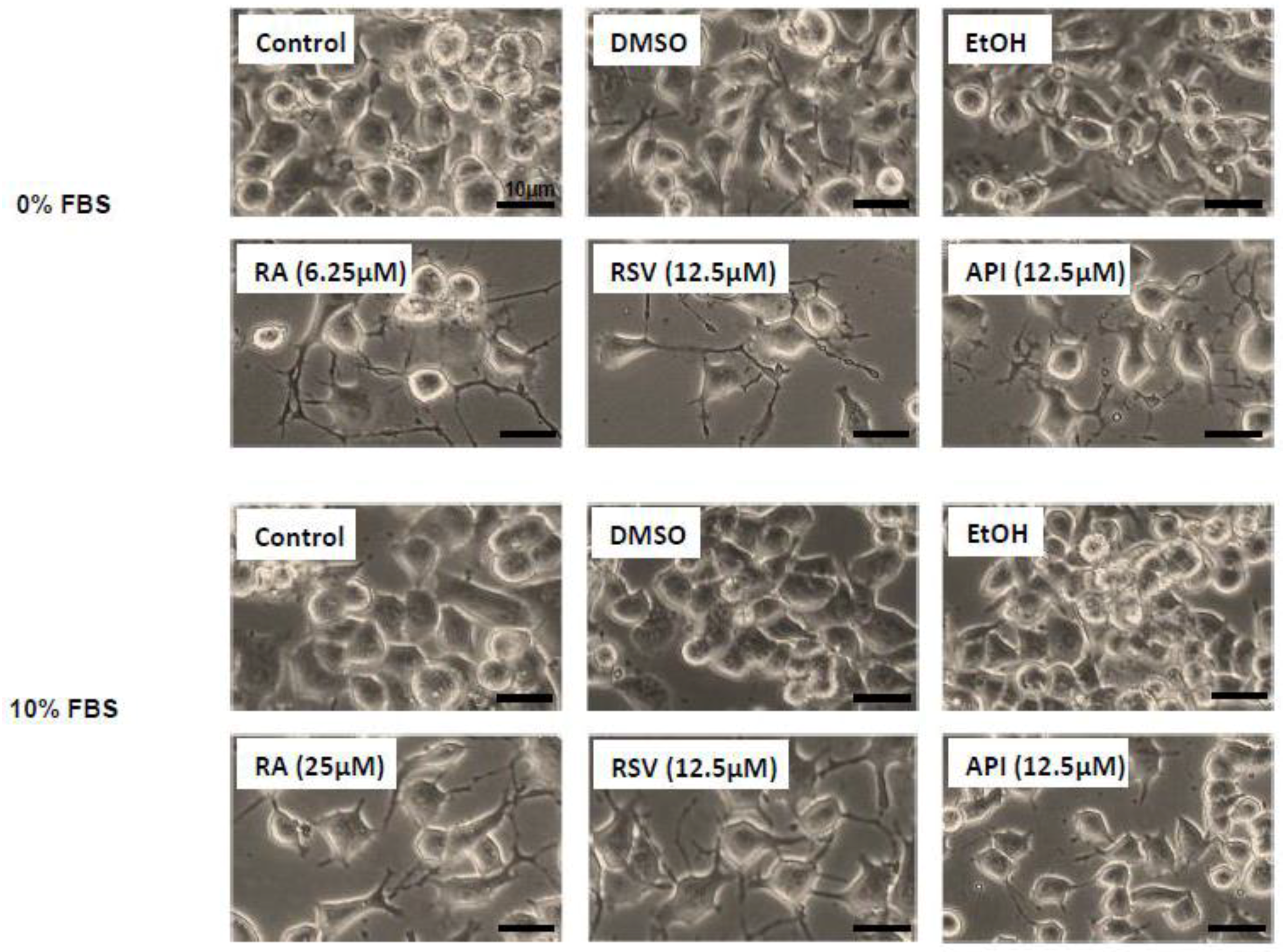 Diseases 06 00067 g001