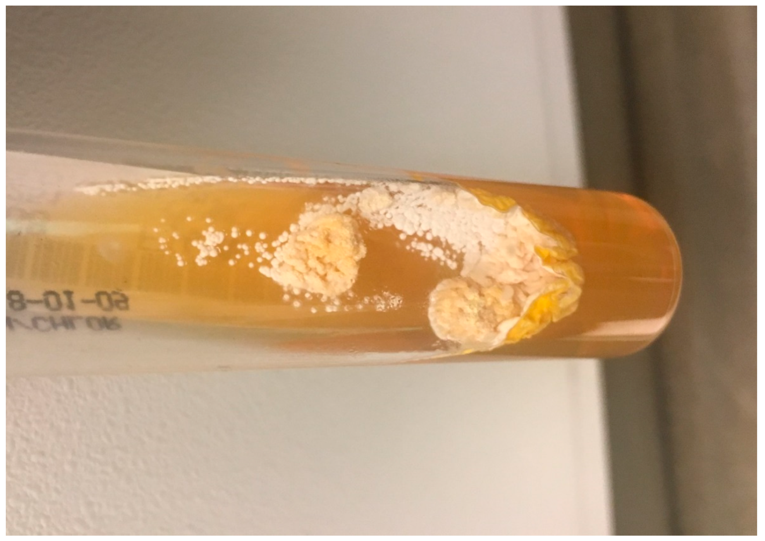 Diseases 06 00068 g003