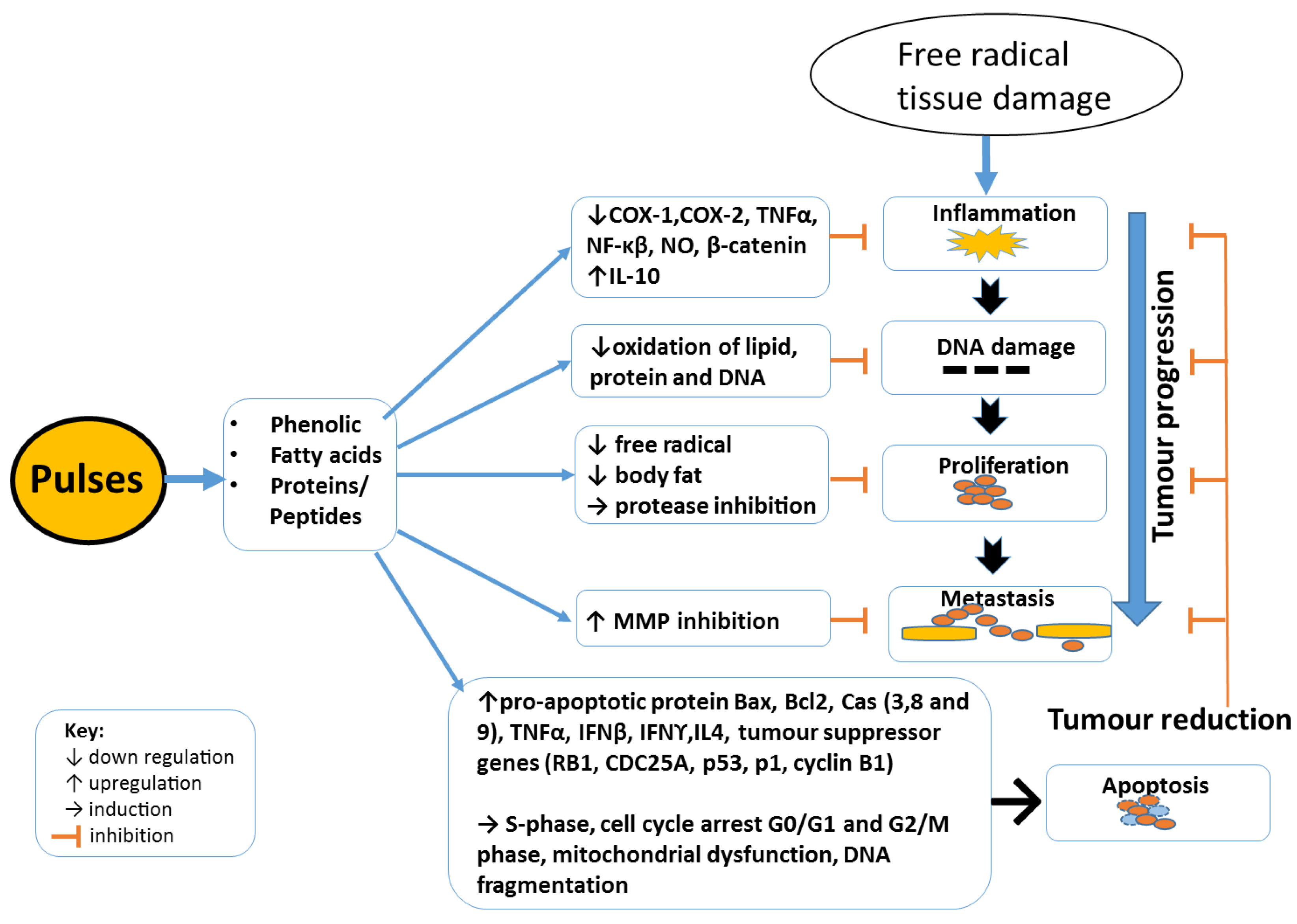 Diseases 06 00072 g002