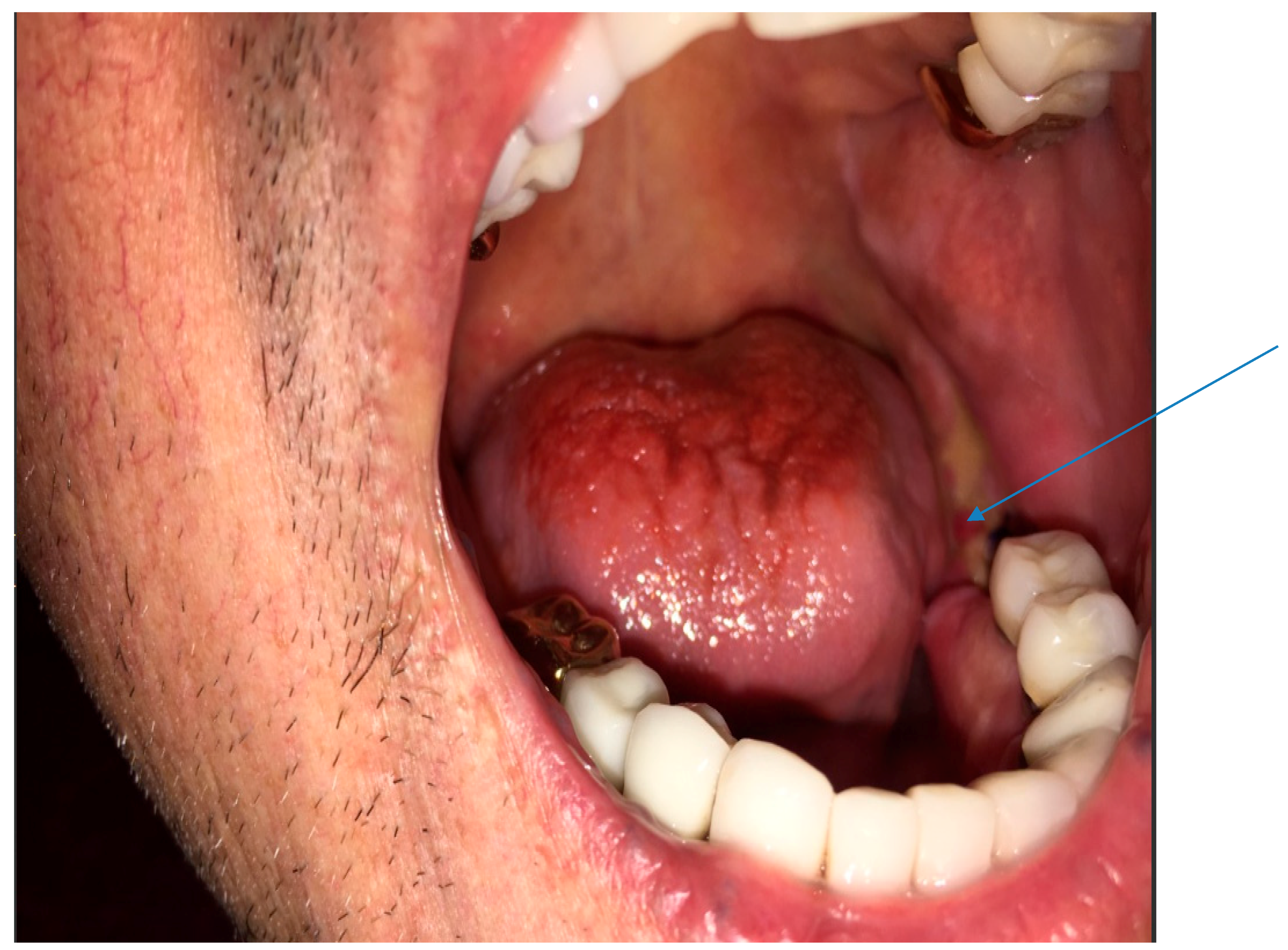 Diseases 06 00079 g001