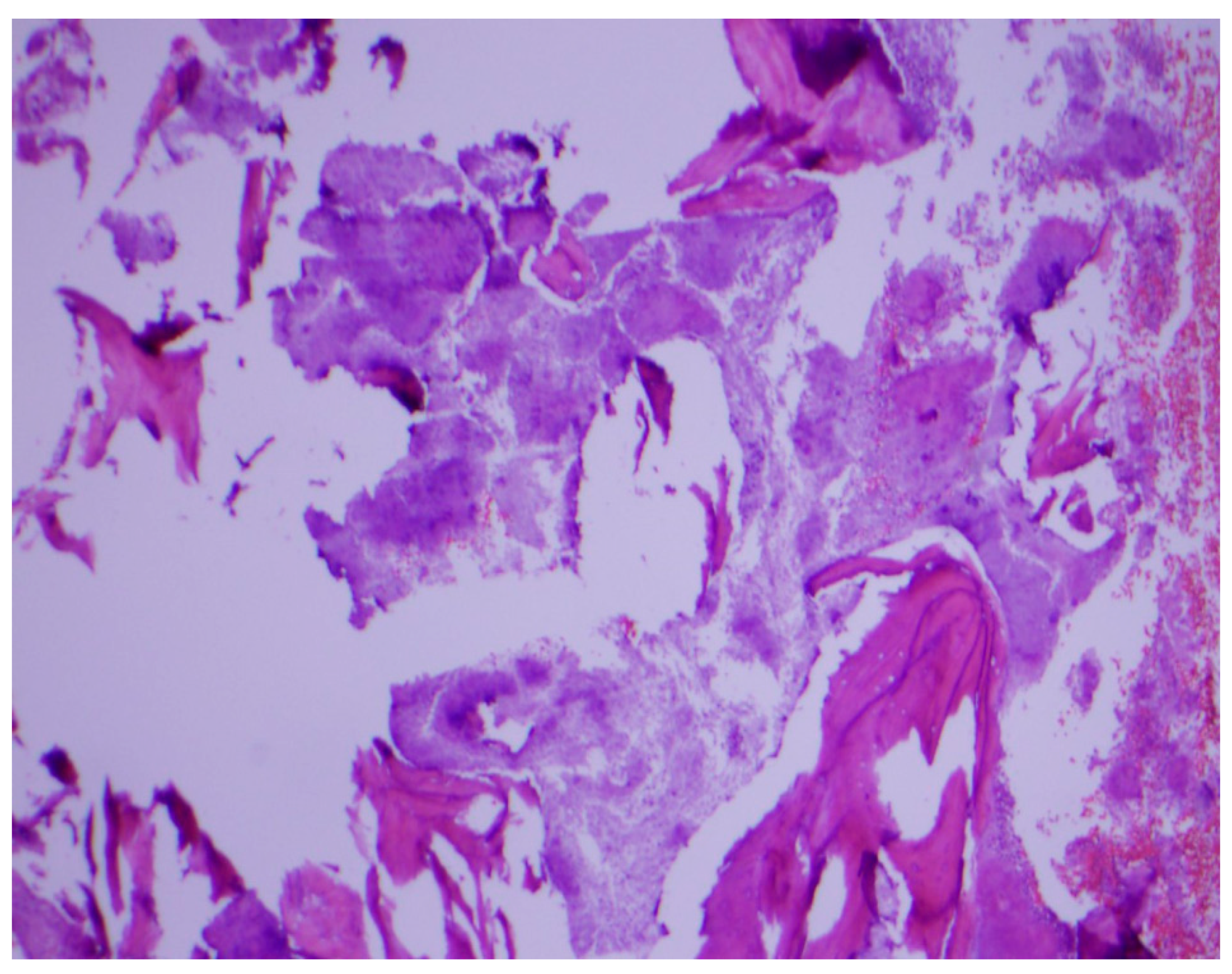 Diseases 06 00079 g003