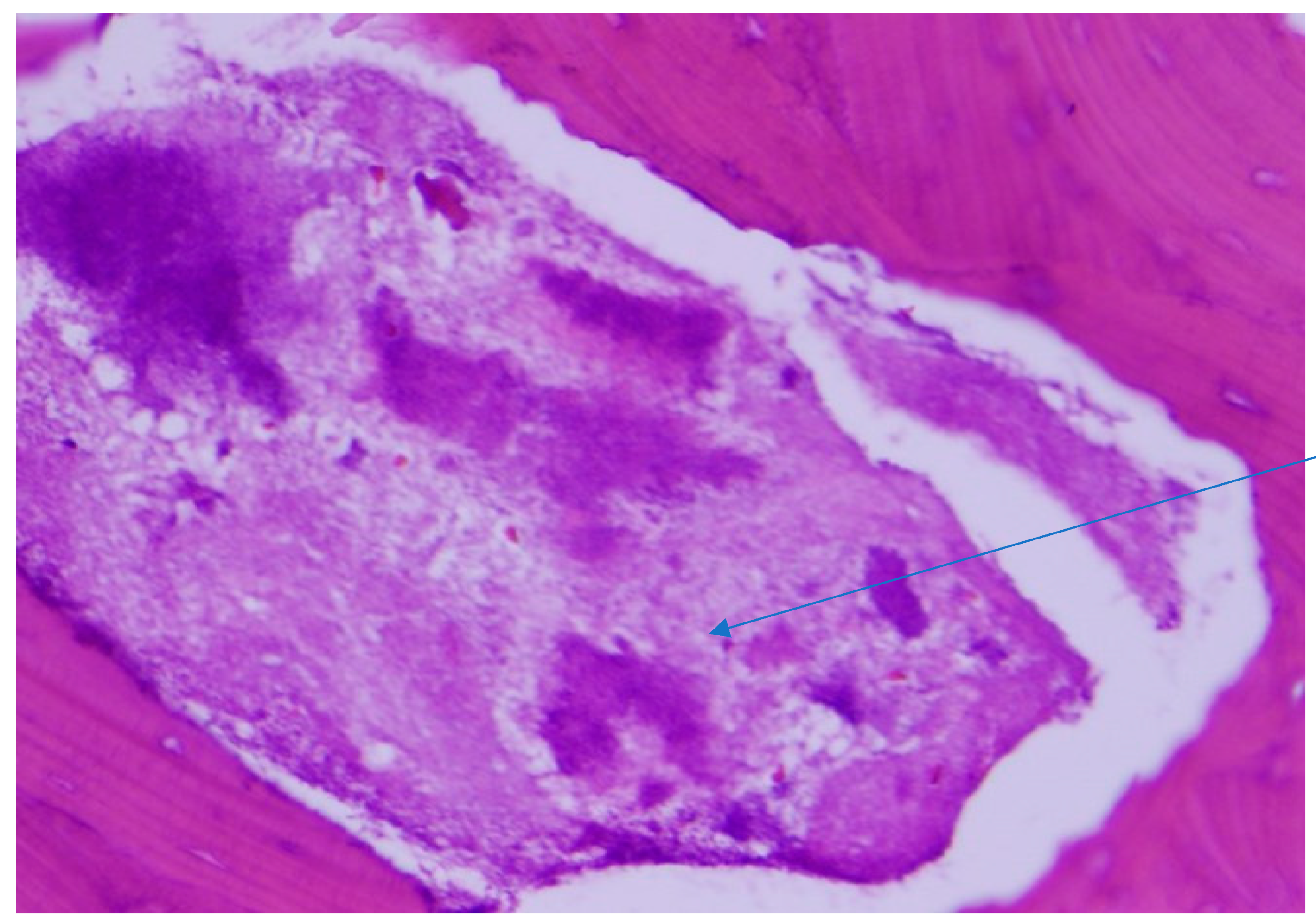 Diseases 06 00079 g004