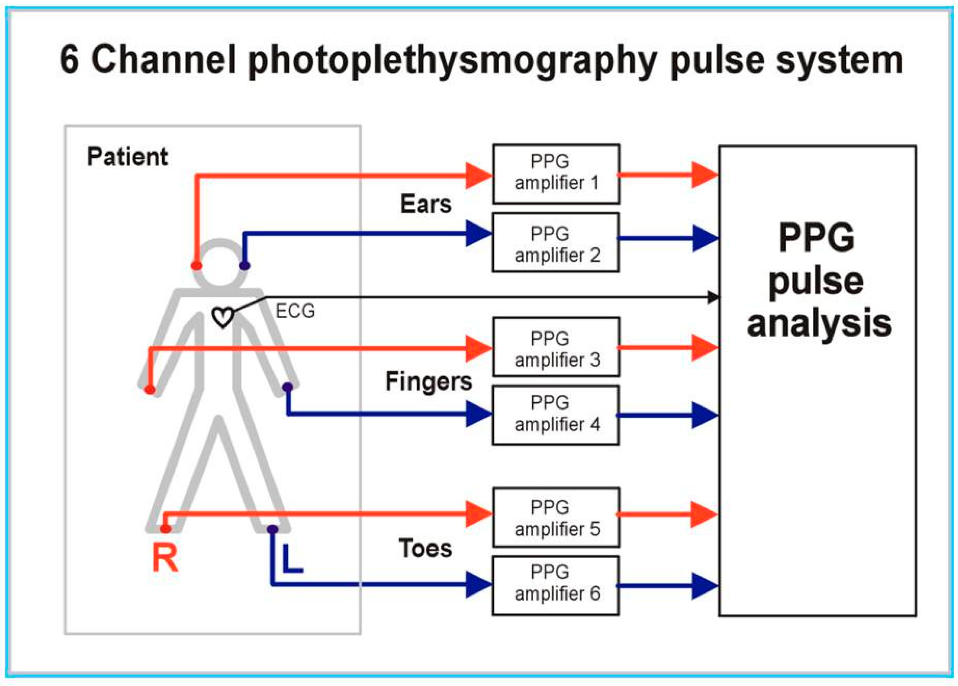 Diseases 06 00081 g001