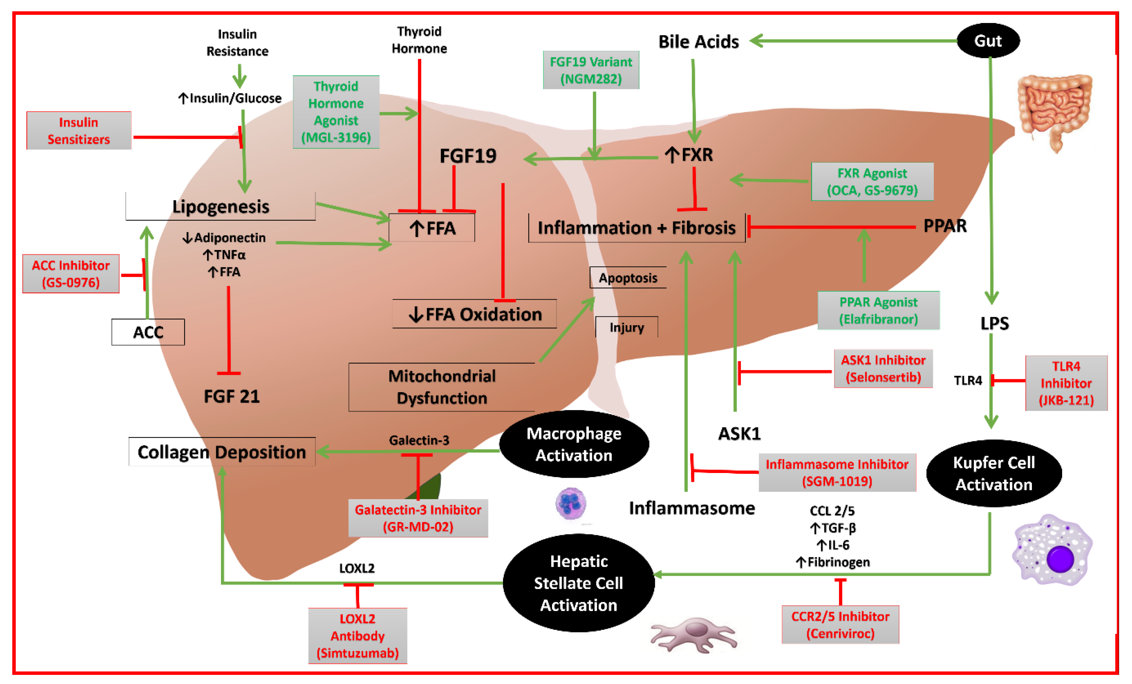 Diseases 06 00083 g001