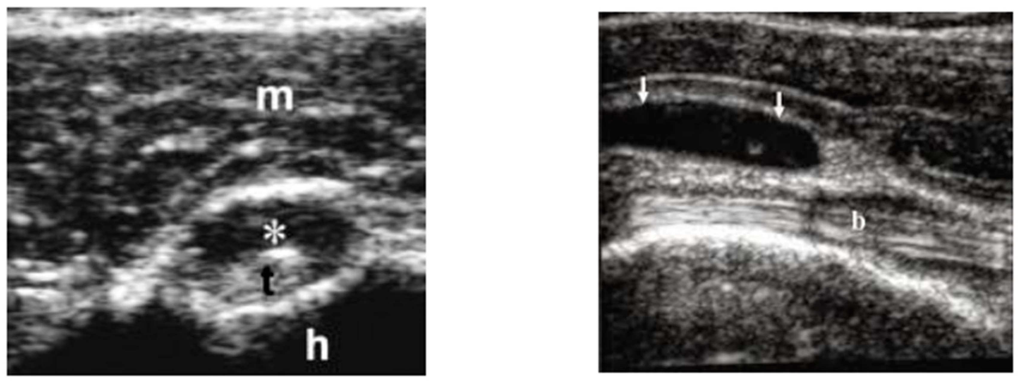 Diseases 06 00084 g001 Diseases 06 00084 g001