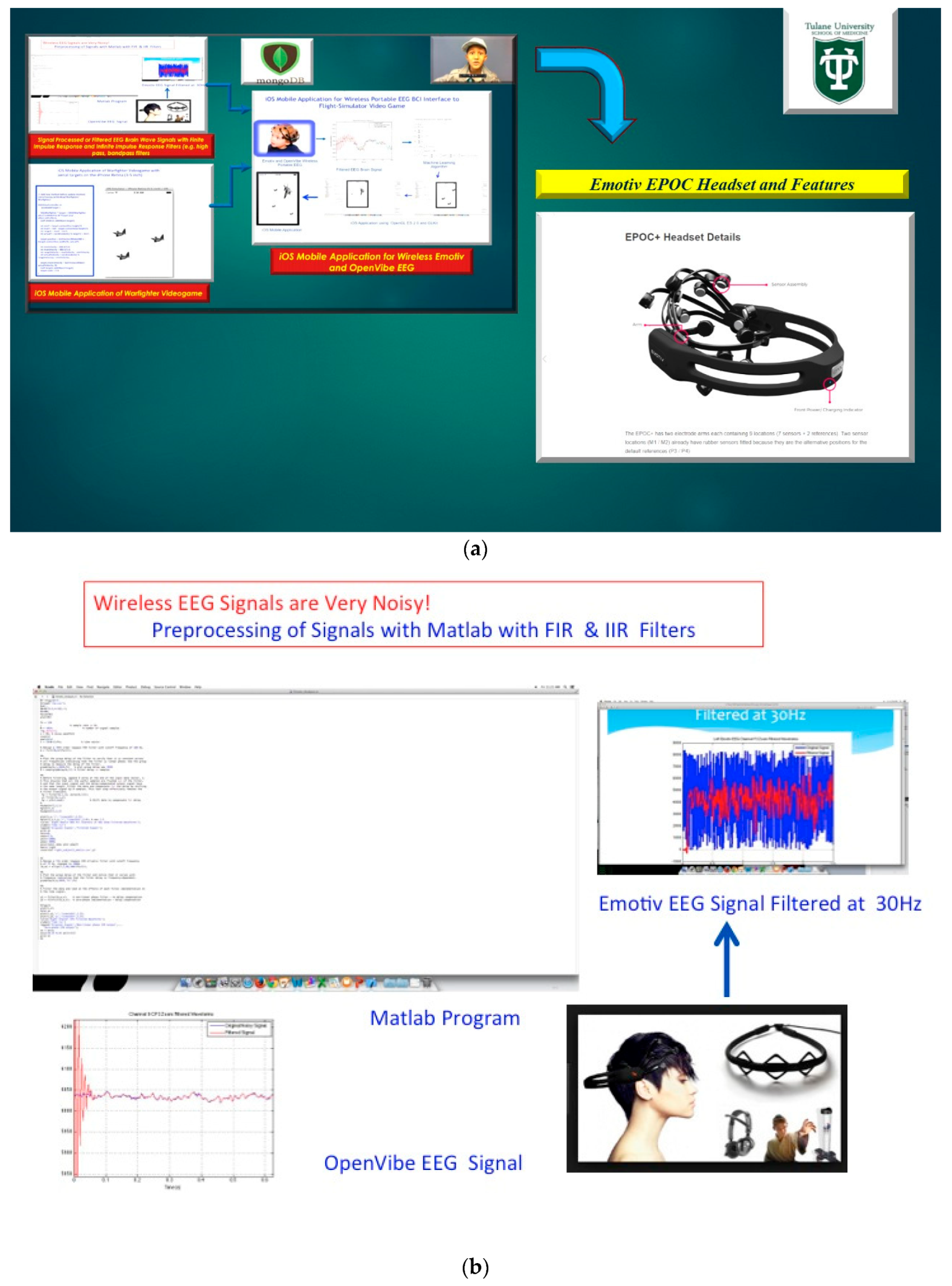 Diseases 06 00089 g013