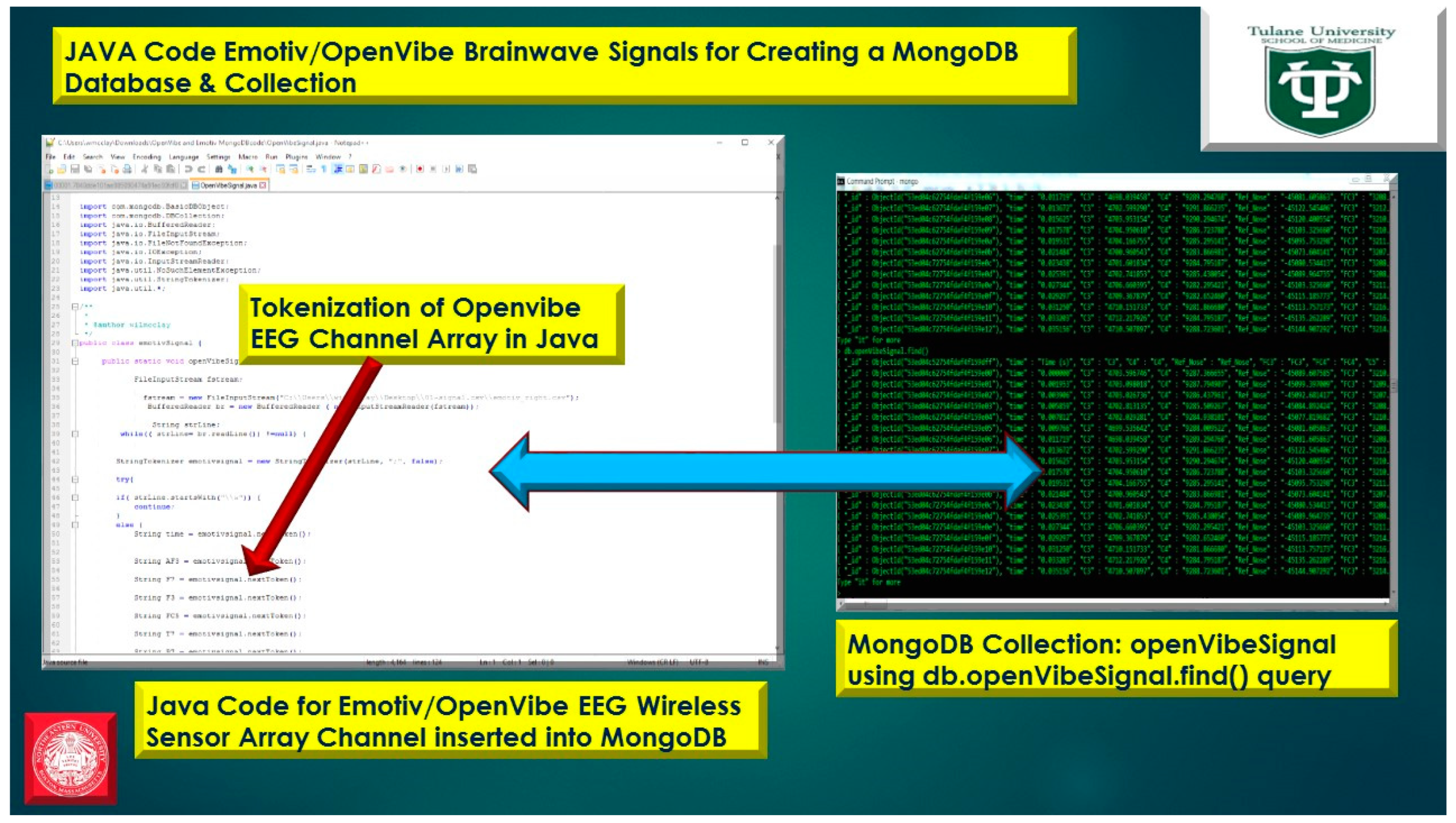 Diseases 06 00089 g022