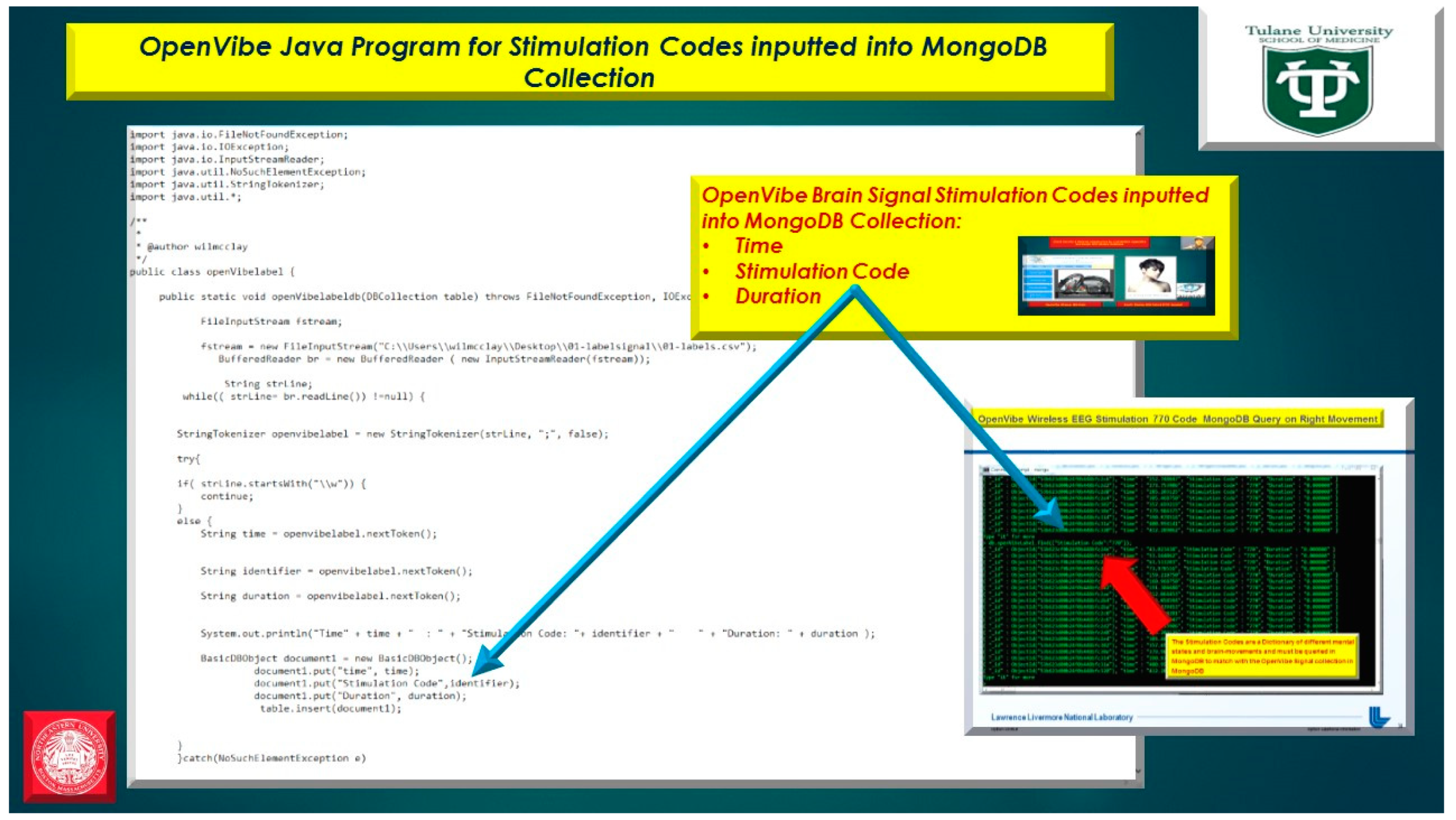 Diseases 06 00089 g025