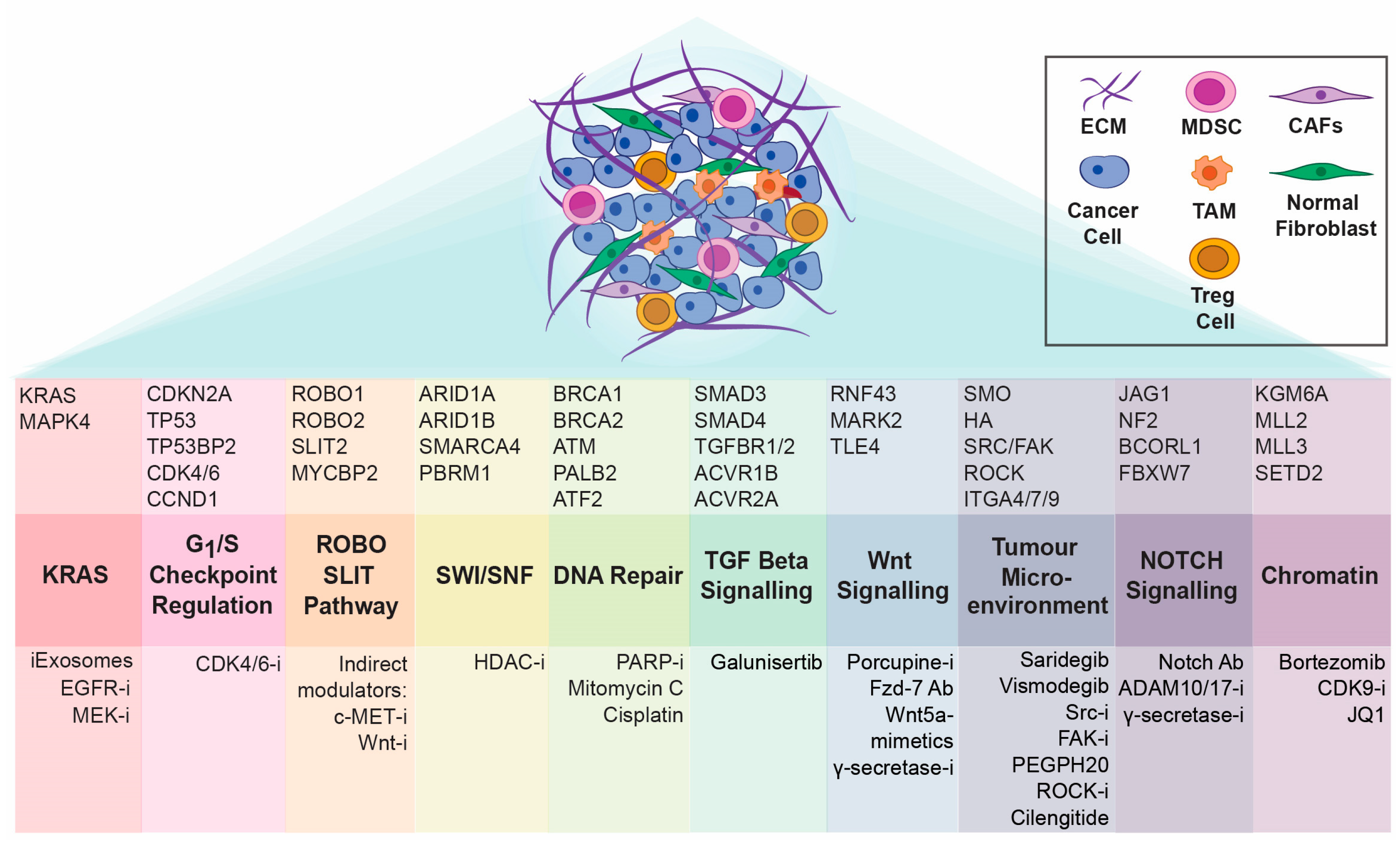 Diseases 06 00103 g001