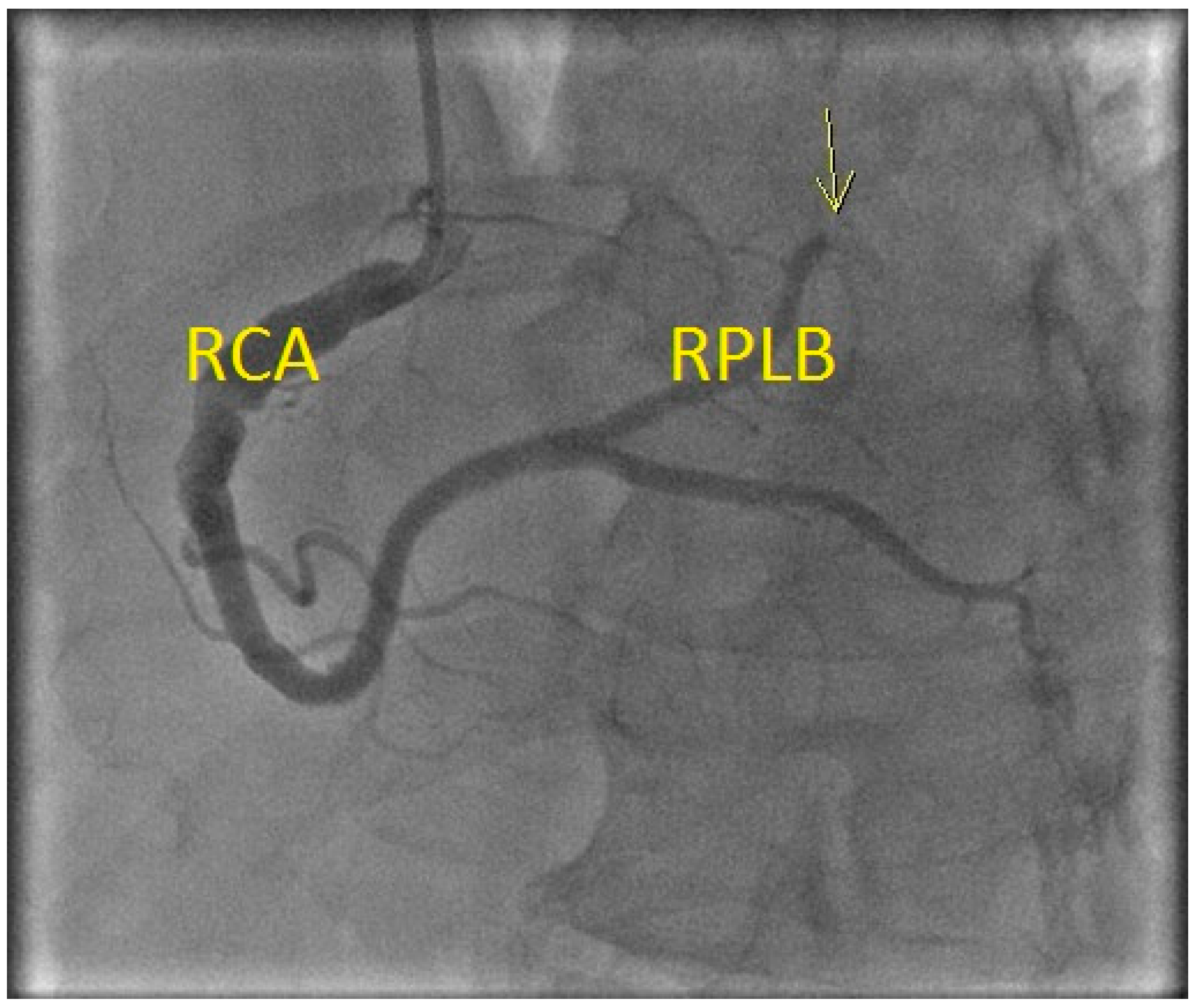 Diseases 06 00104 g003
