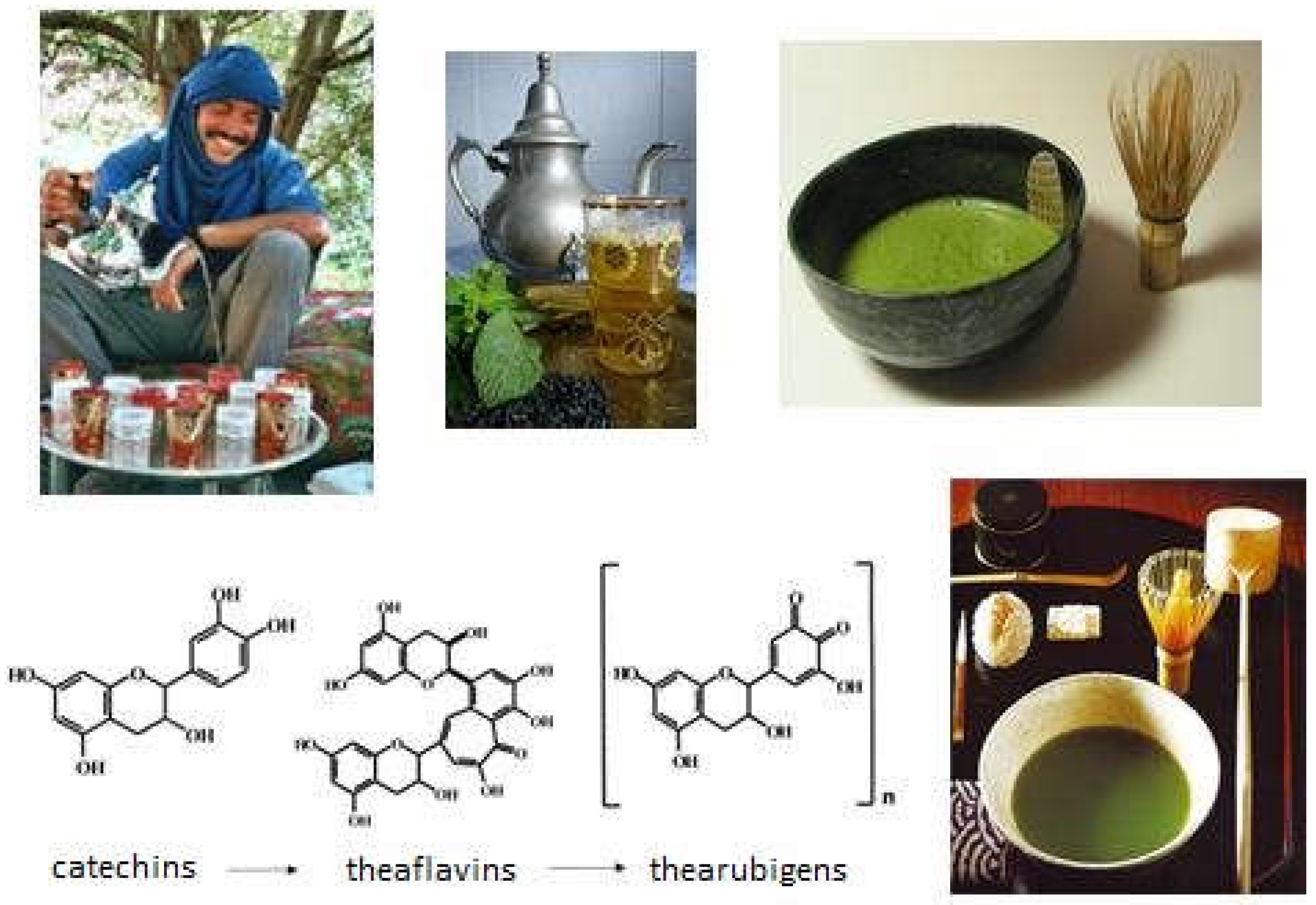 Diseases 06 00105 g004 Diseases 06 00105 g004