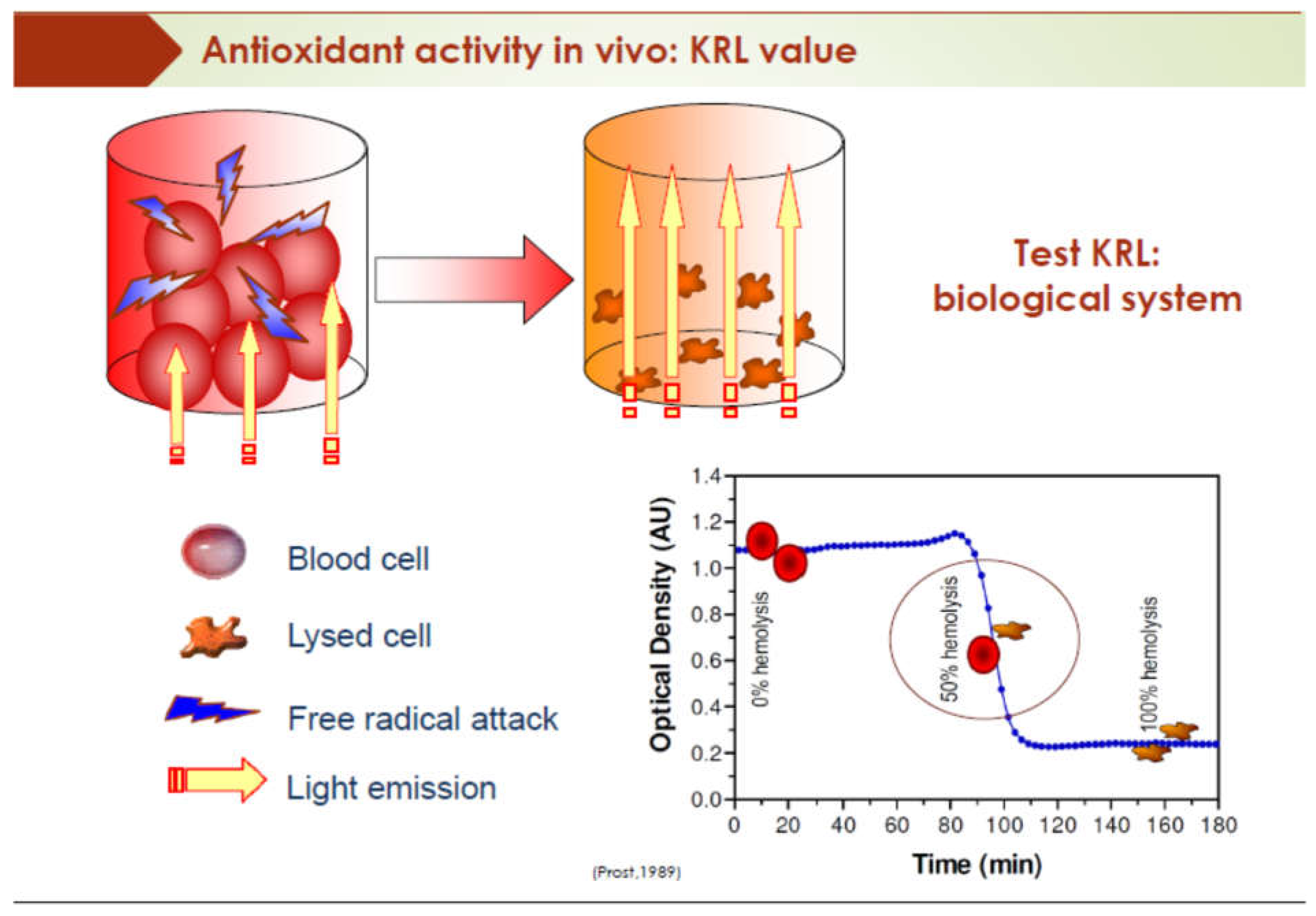 Diseases 06 00105 g008 Diseases 06 00105 g008