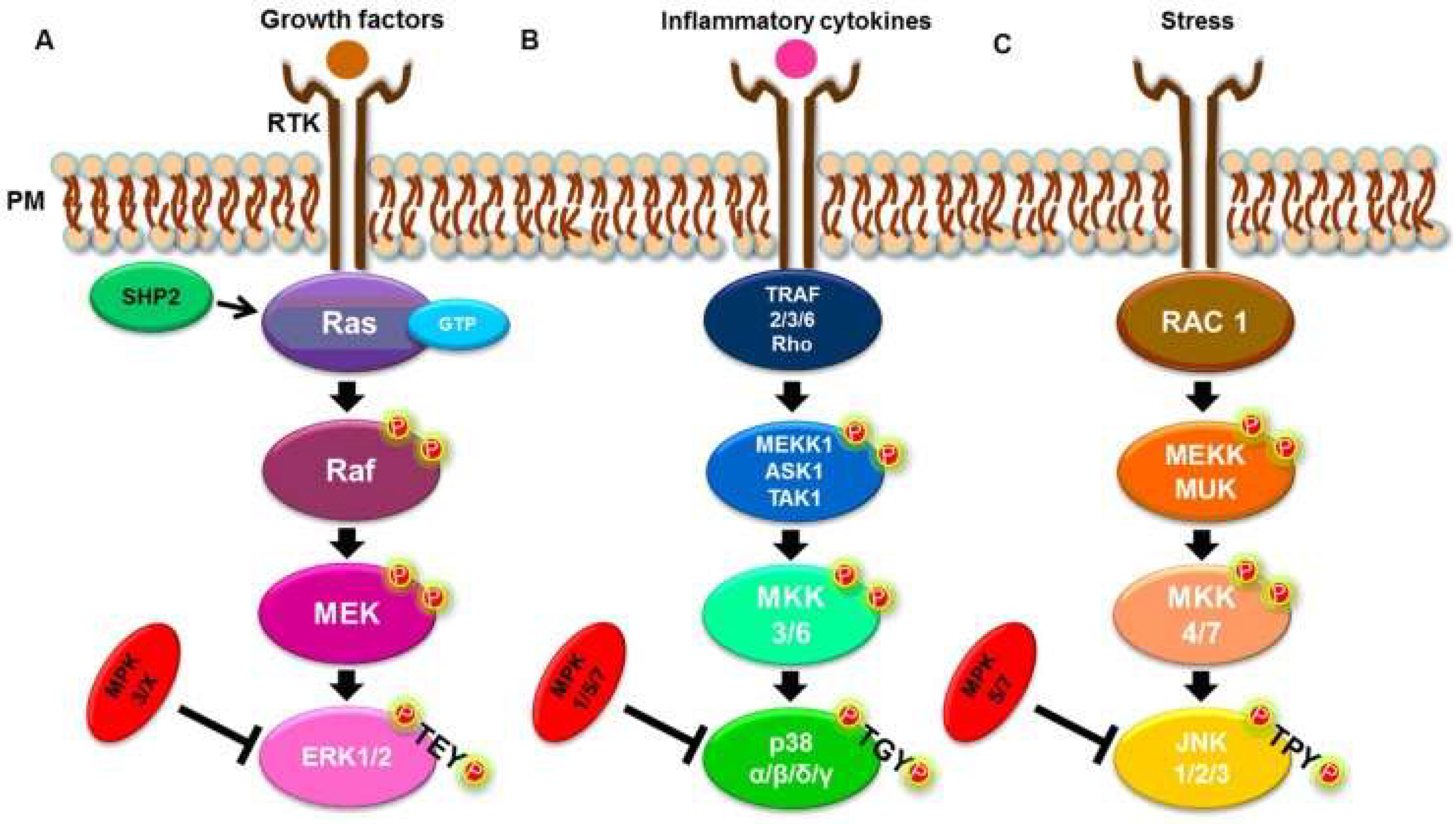 Diseases 07 00009 g001