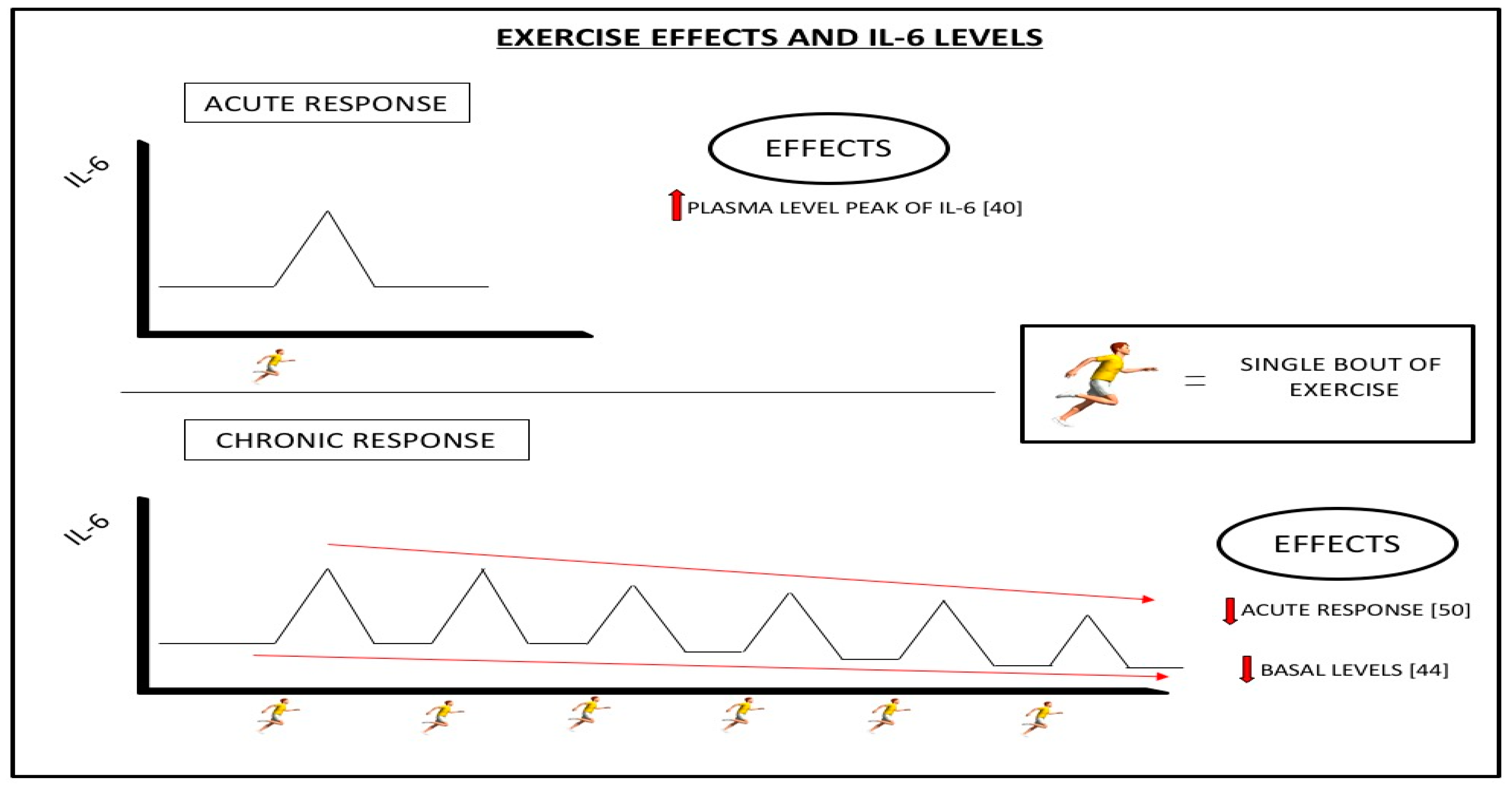 Diseases 07 00011 g003