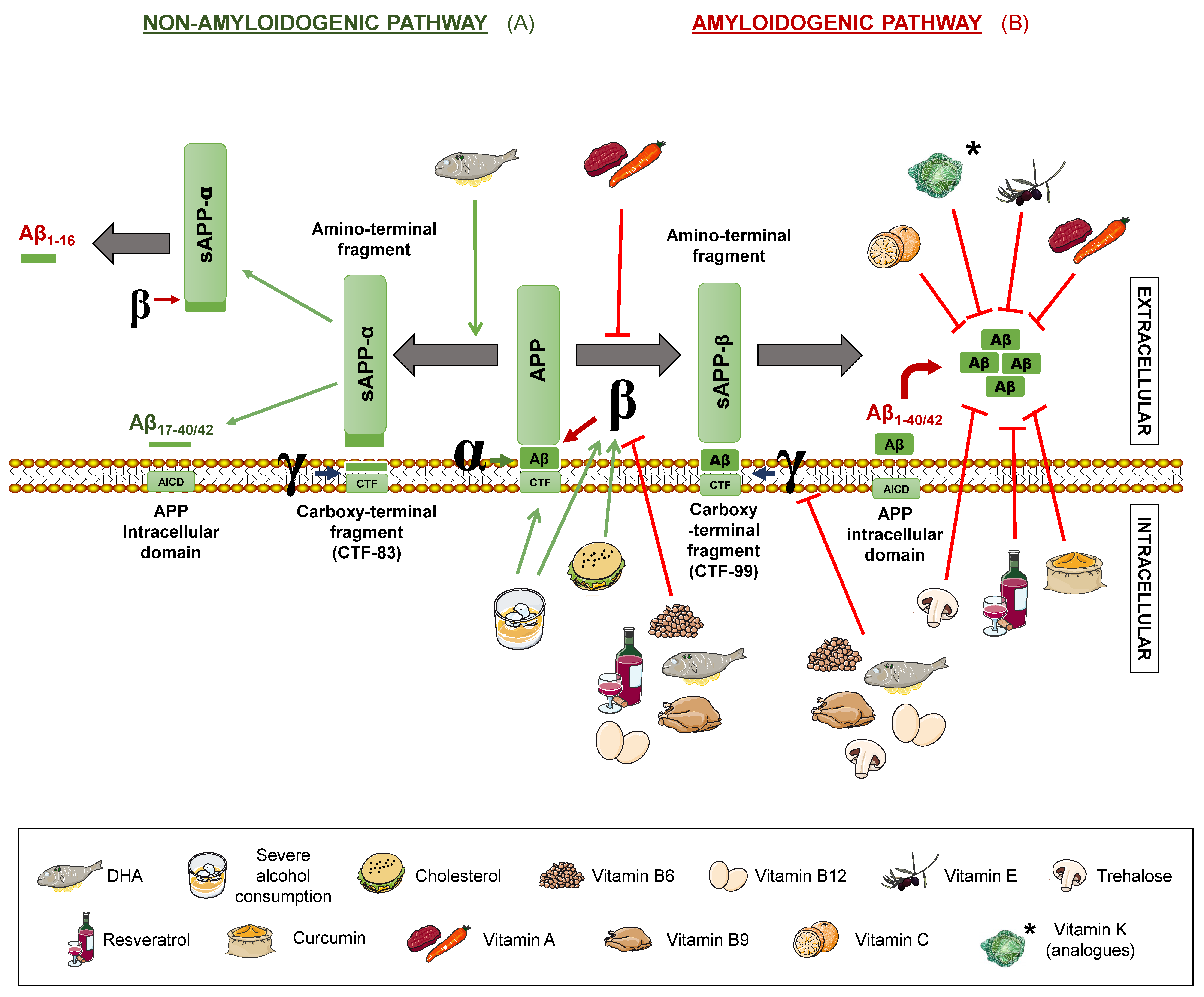 Diseases 07 00012 g001