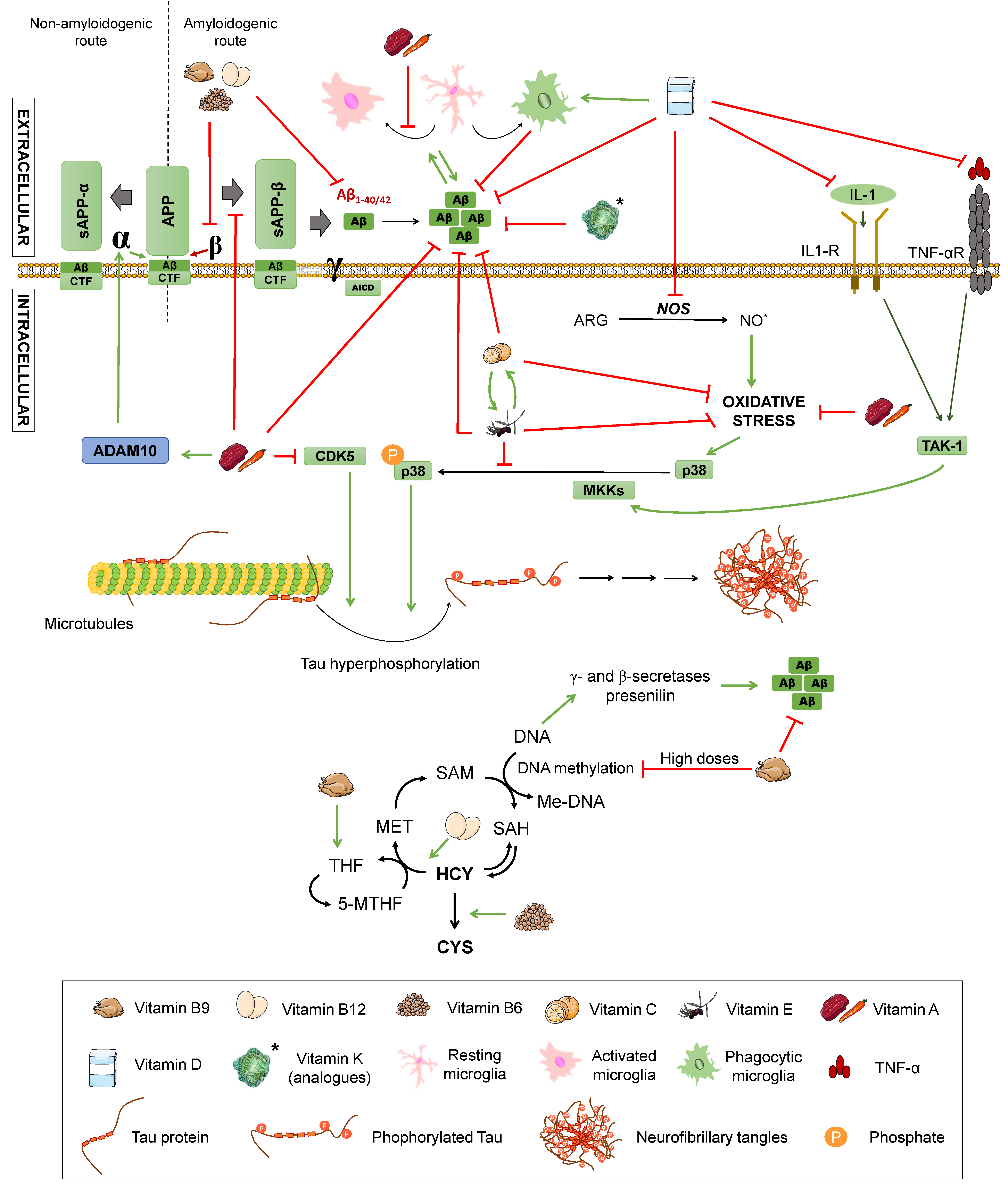 Diseases 07 00012 g005