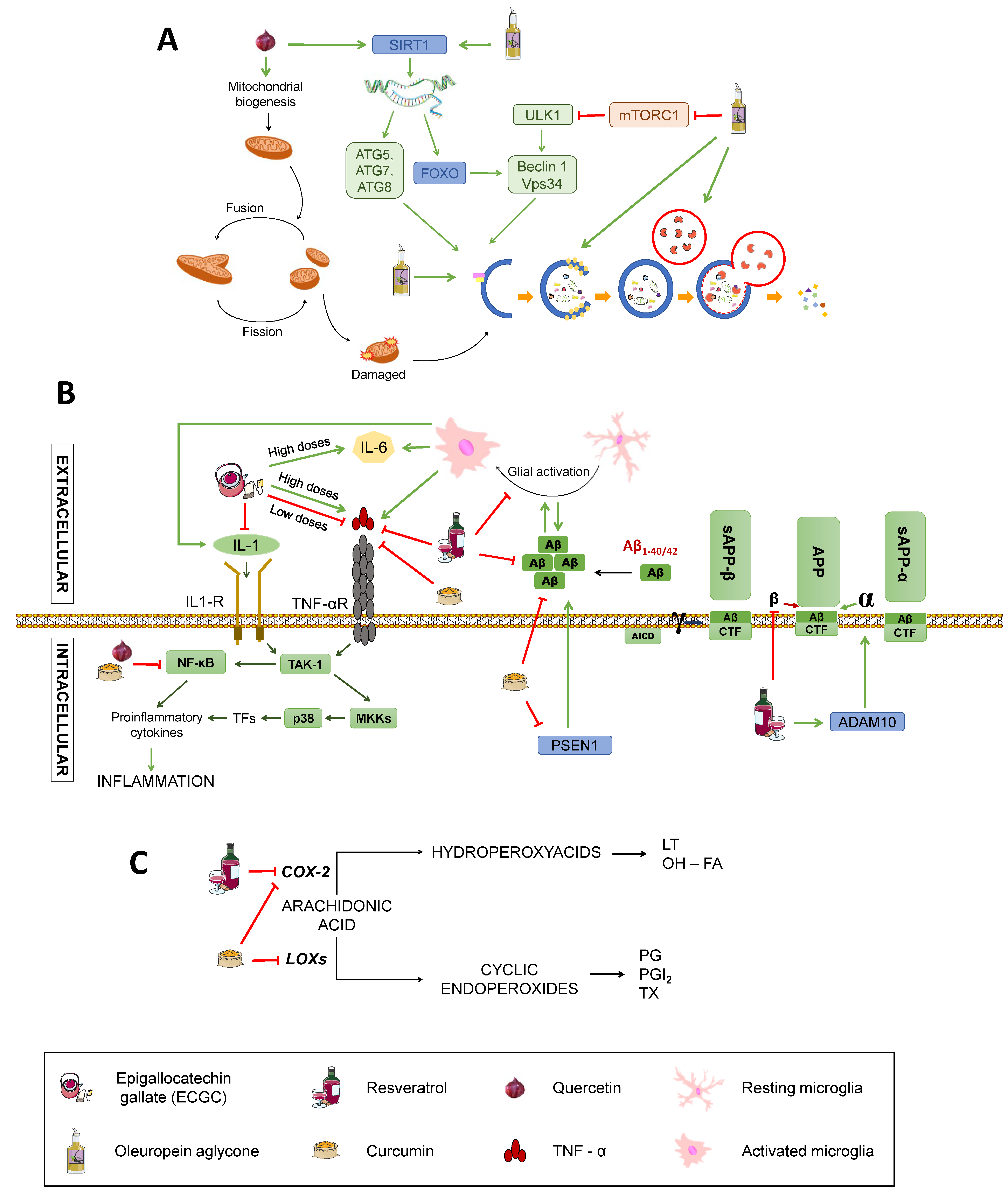 Diseases 07 00012 g006