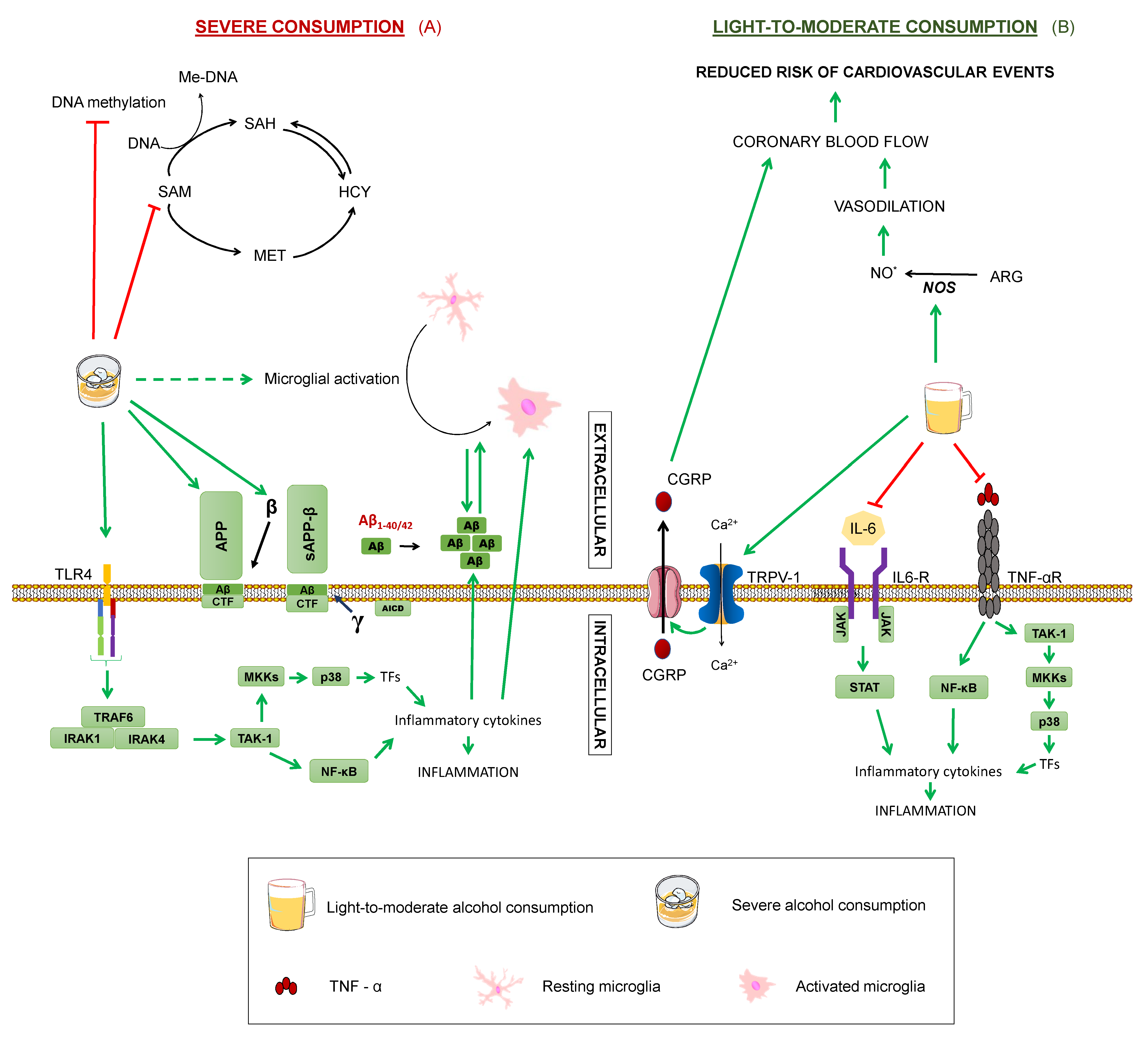 Diseases 07 00012 g007