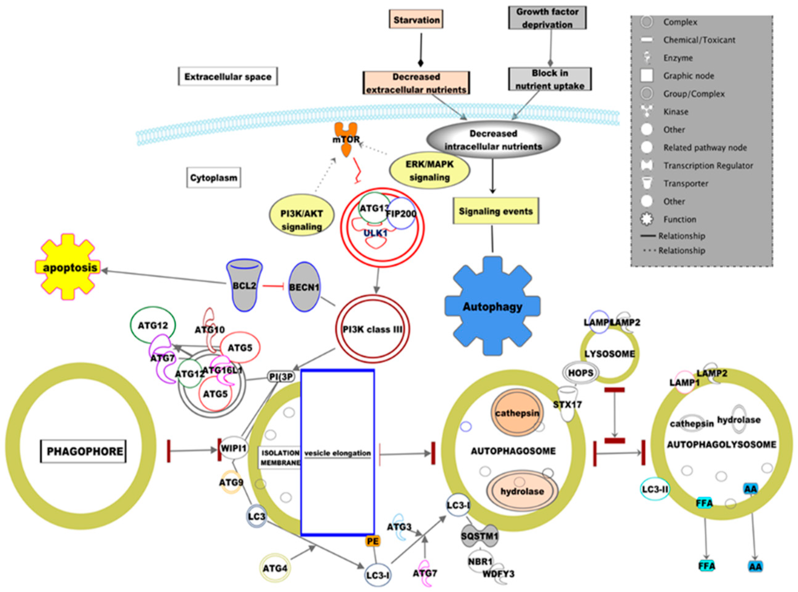 Diseases 07 00015 g001