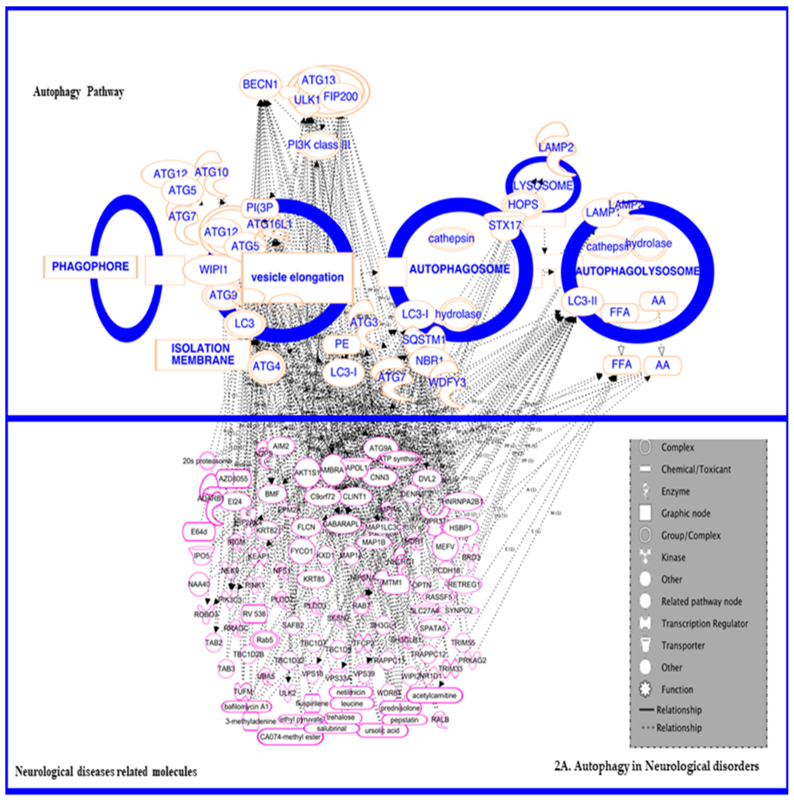 Diseases 07 00015 g002a