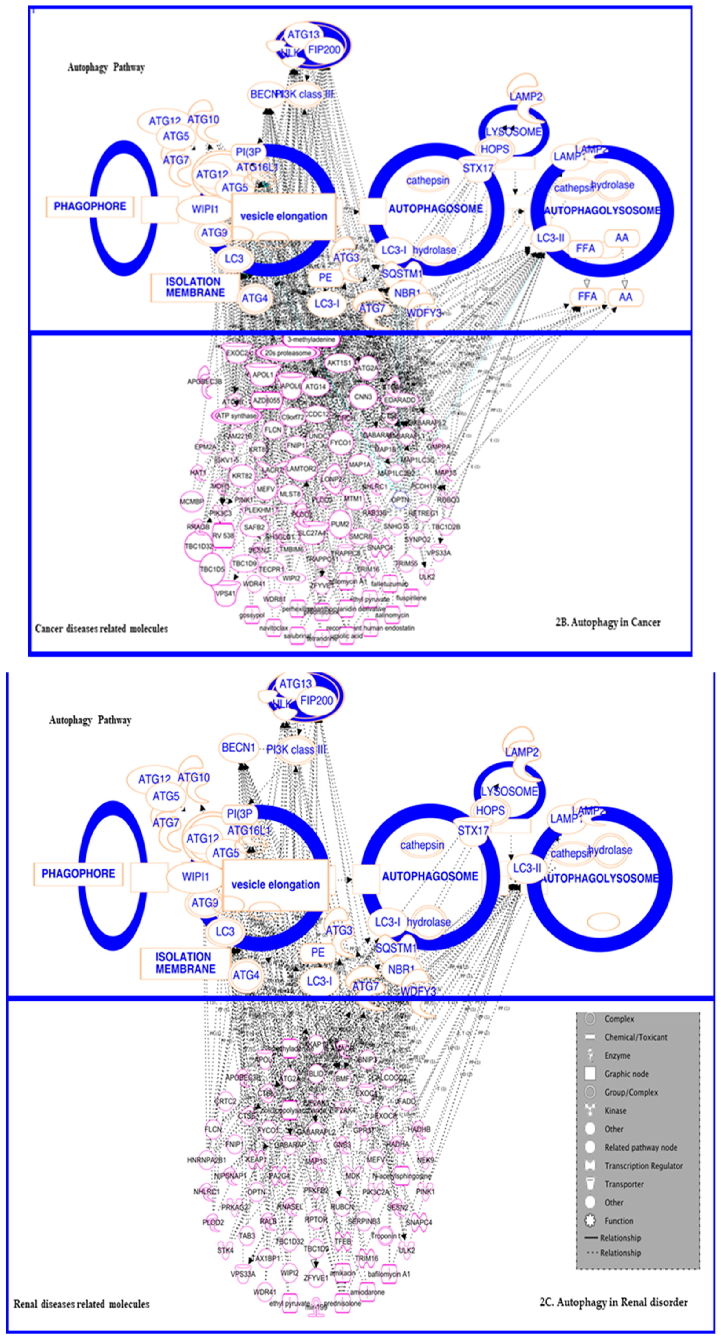 Diseases 07 00015 g002b