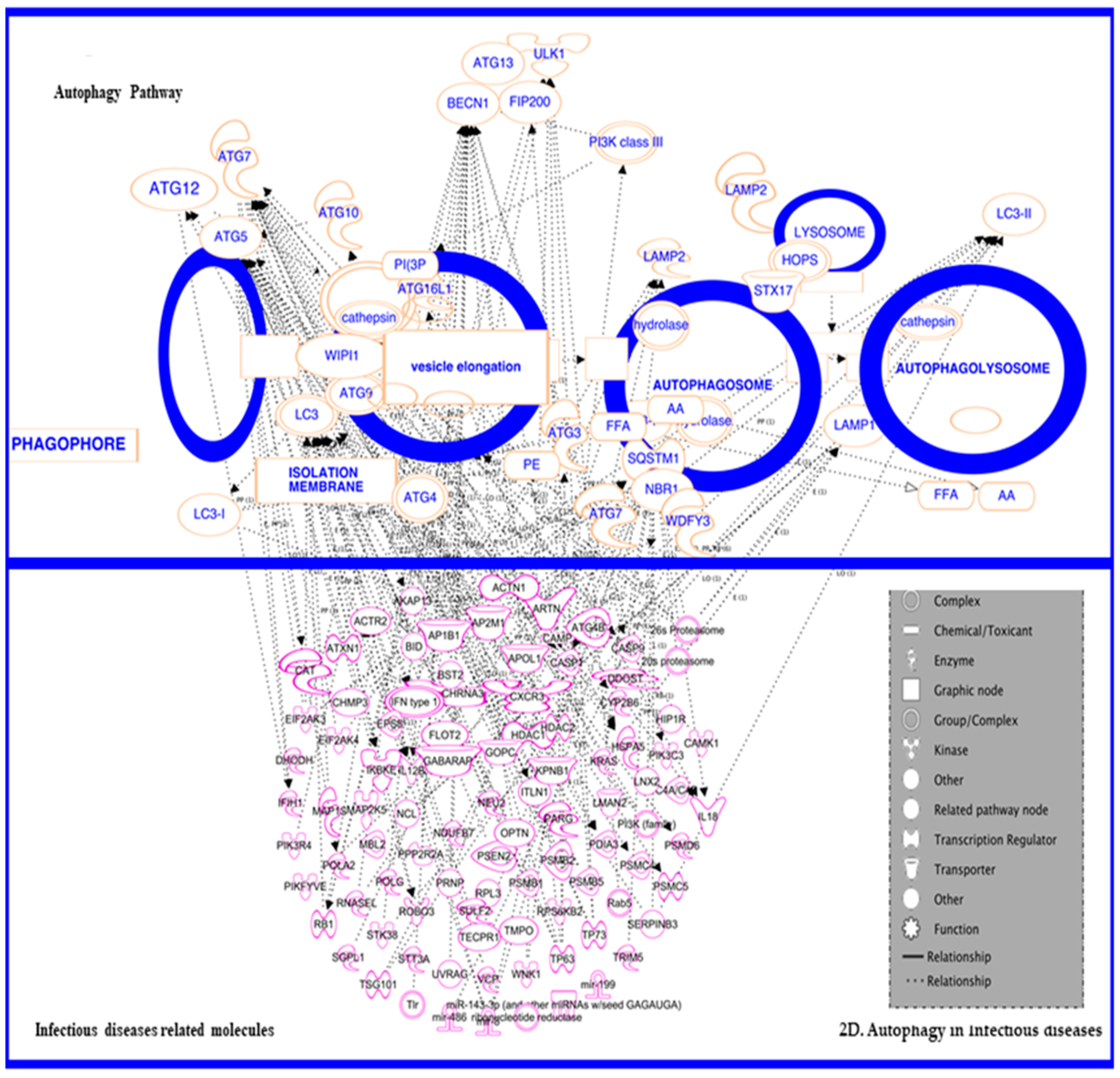 Diseases 07 00015 g002c