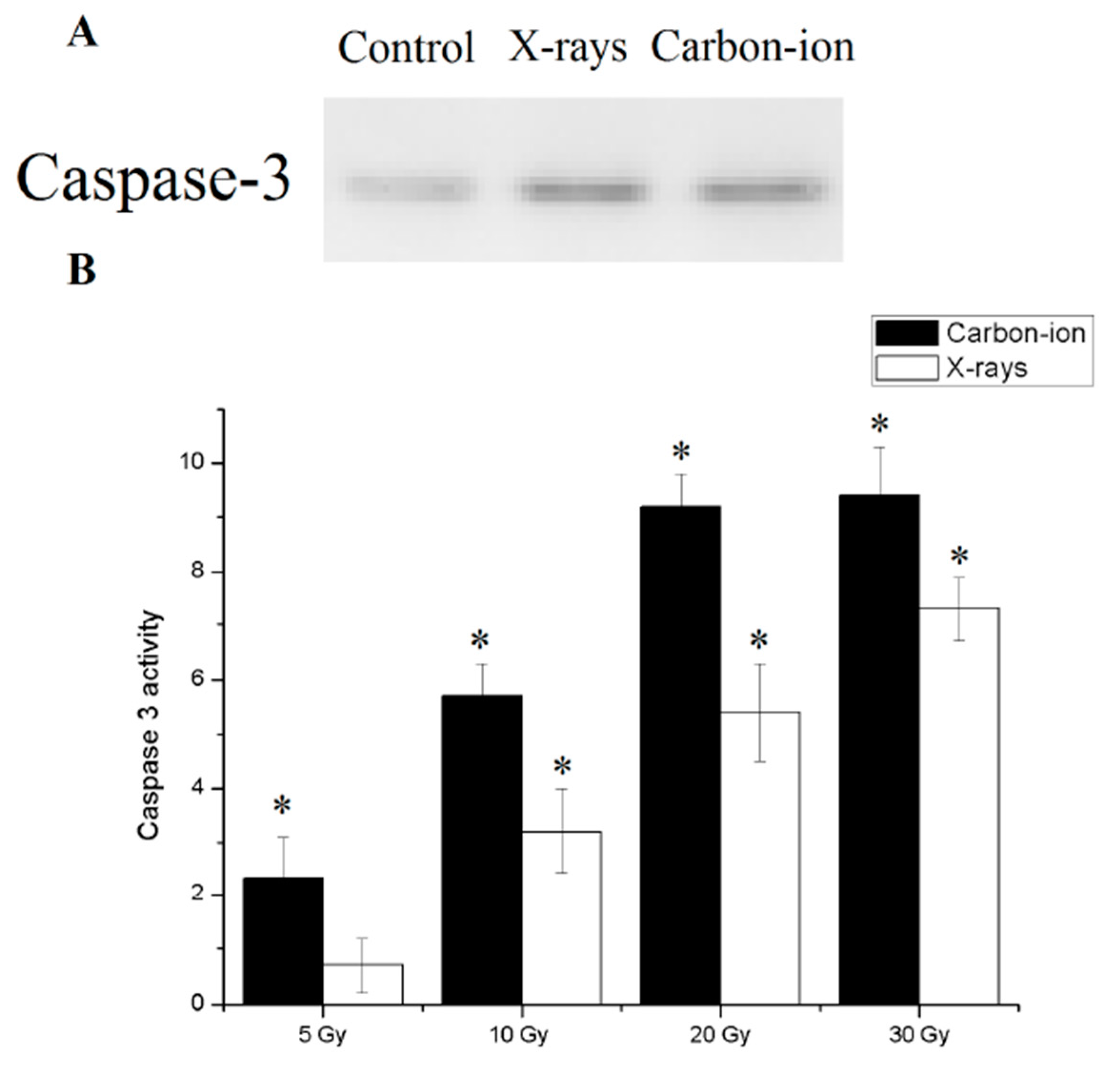 Diseases 07 00023 g005