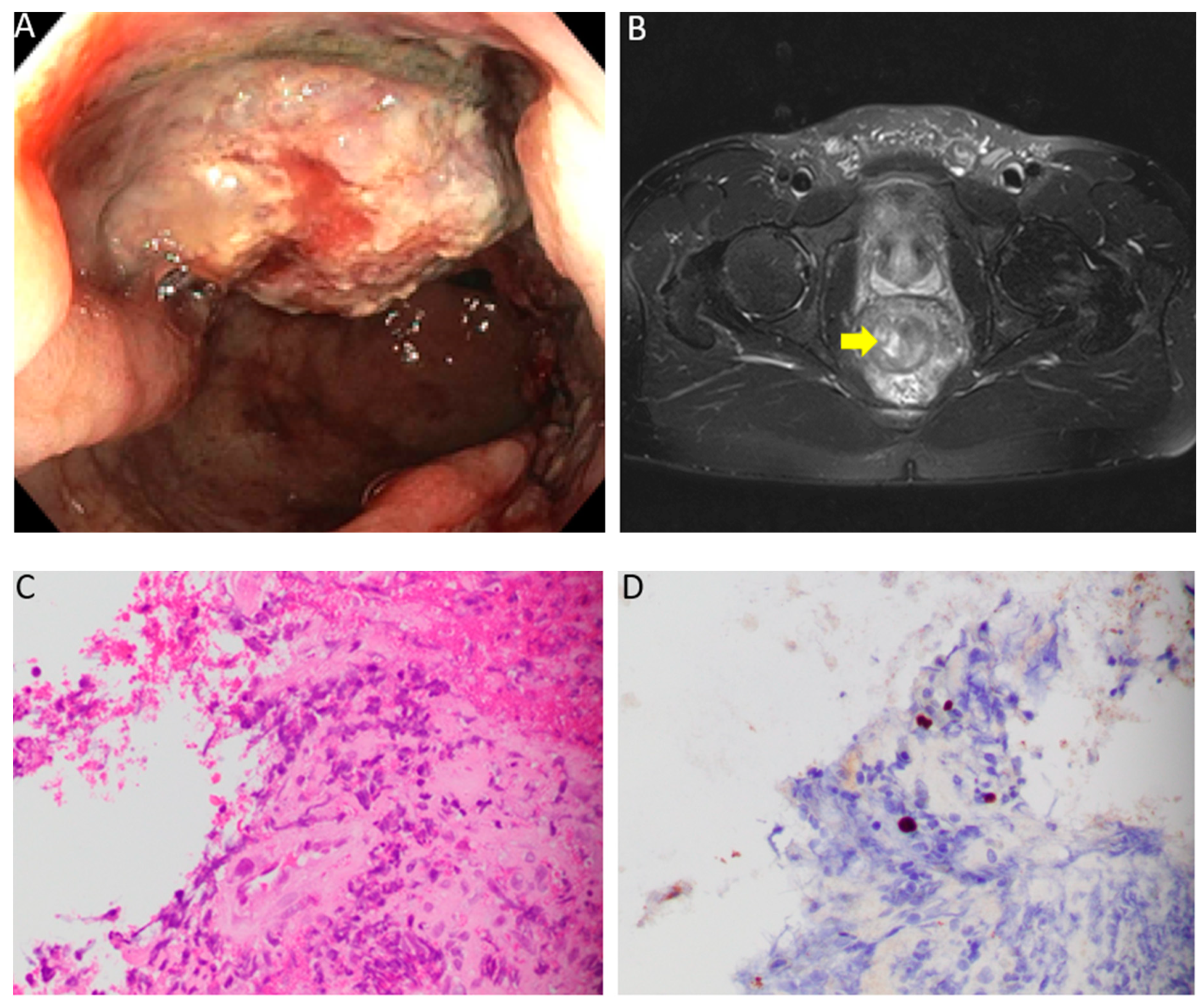 Diseases 07 00036 g001