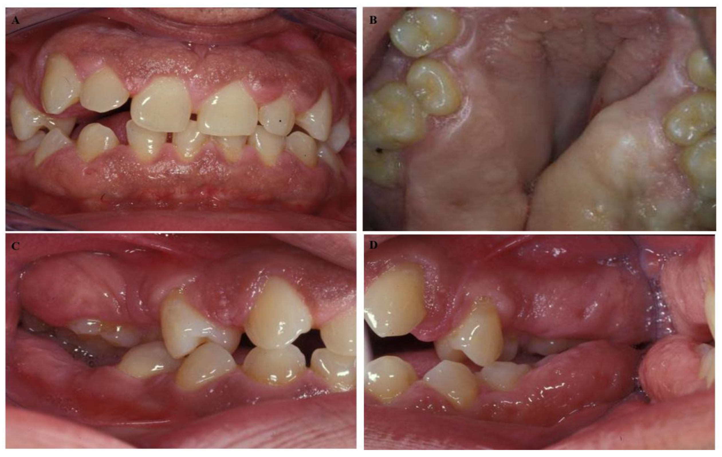 Diseases 07 00039 g001